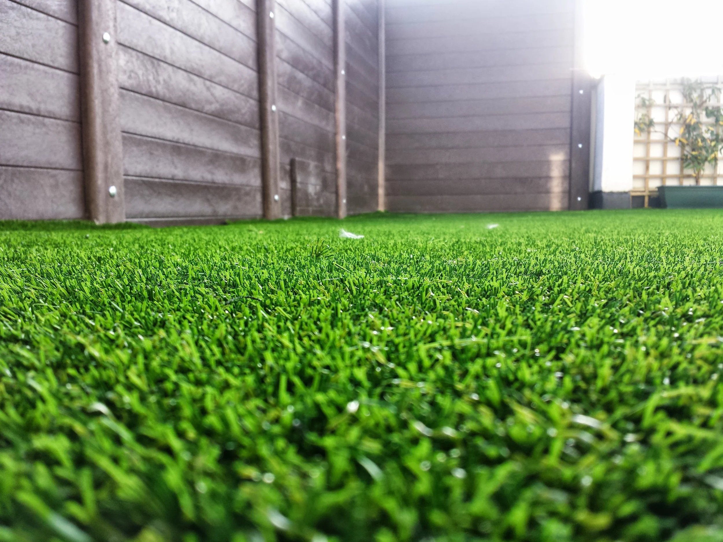 Penthouse Grass