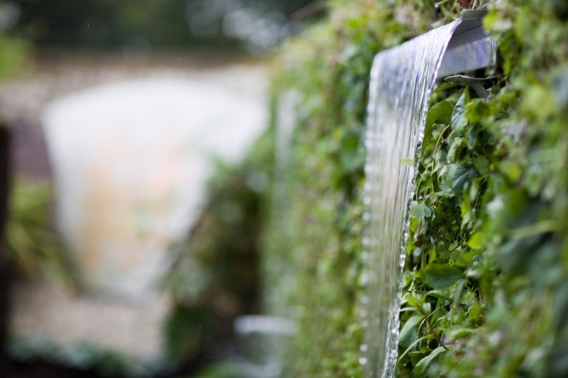 water blade and planting