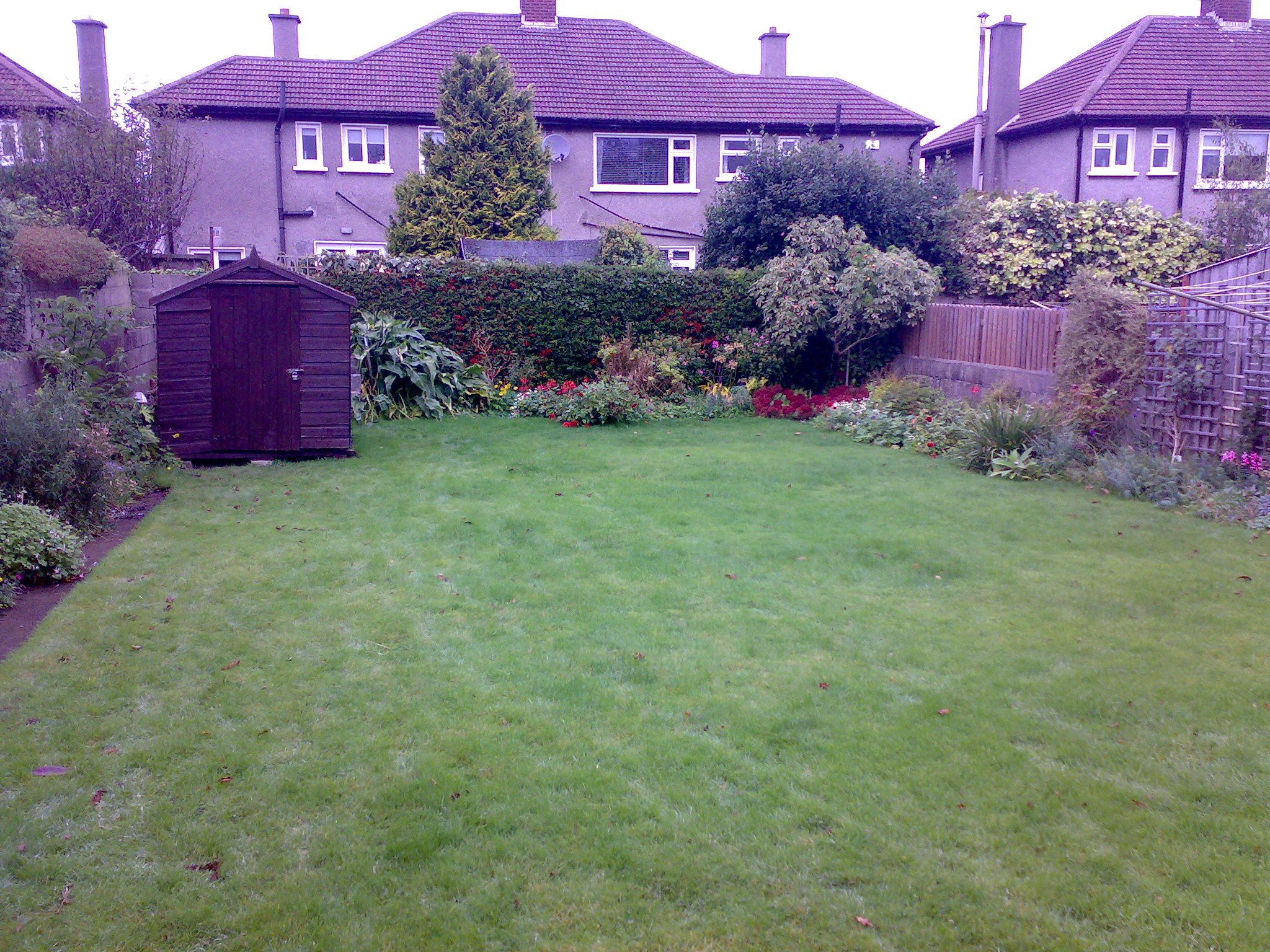 Back garden before .jpg