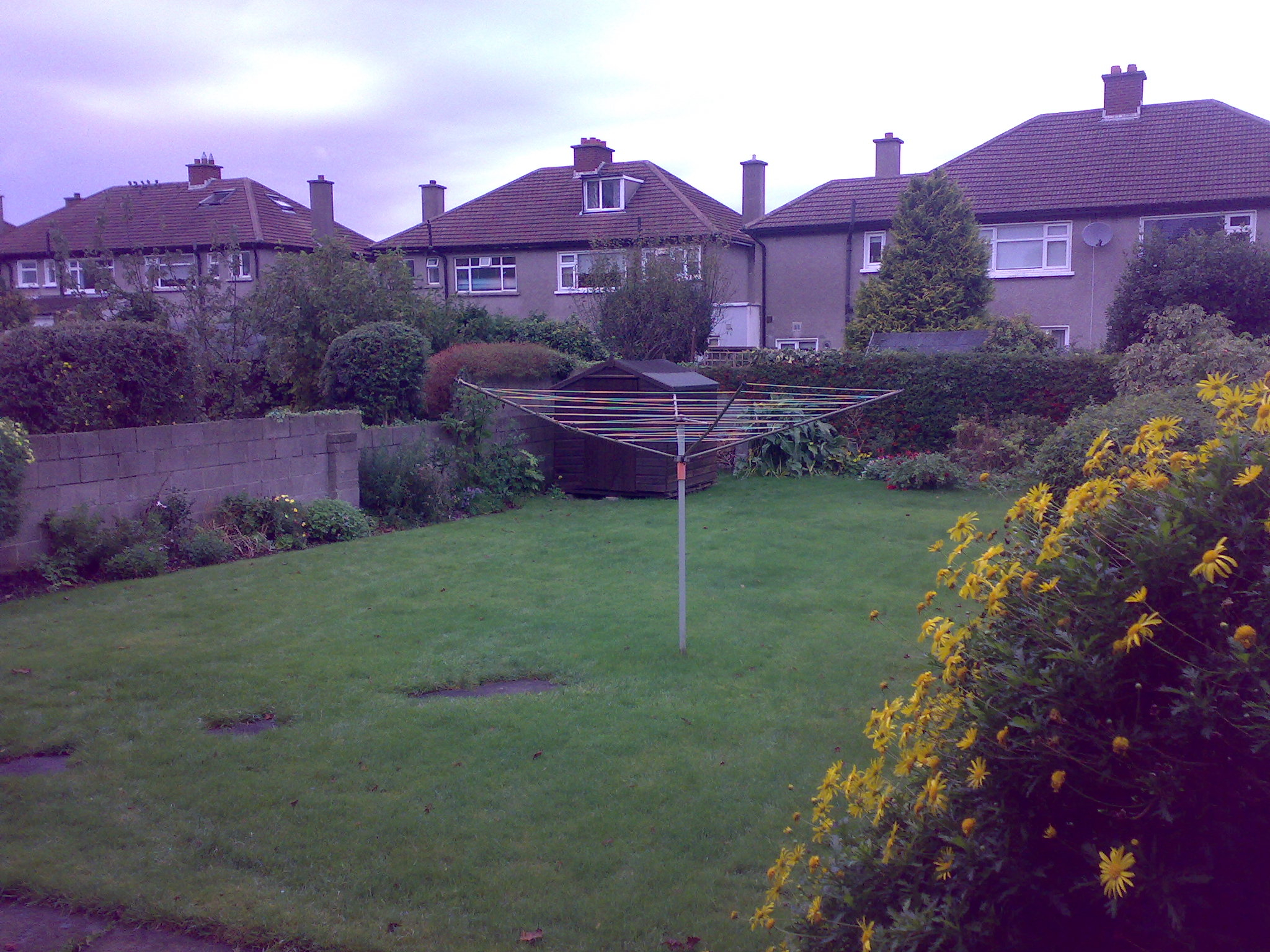 Back garden before.jpg