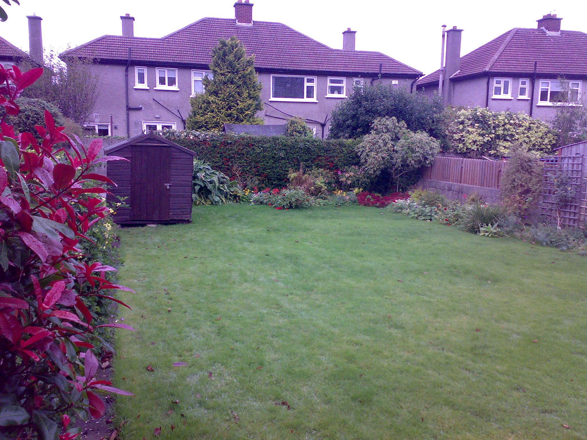 back Garden dublin .jpg