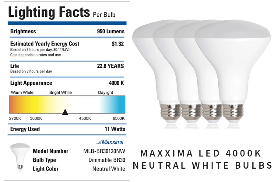 Neutral-Light-Bulbs-Perfect-For-Art-Studio.jpg