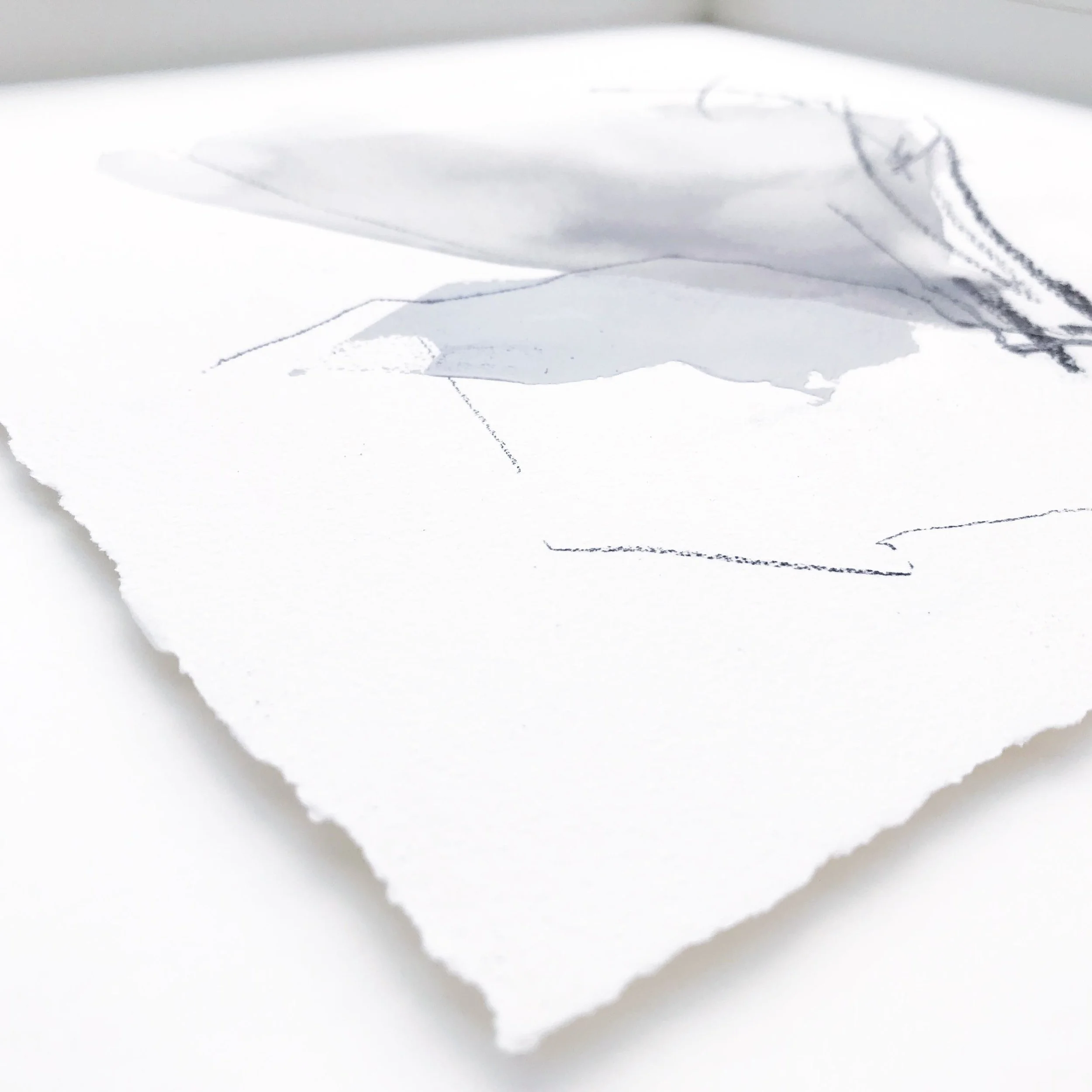 black-white-abstract-floating-art-deckled-edge-paper.jpg