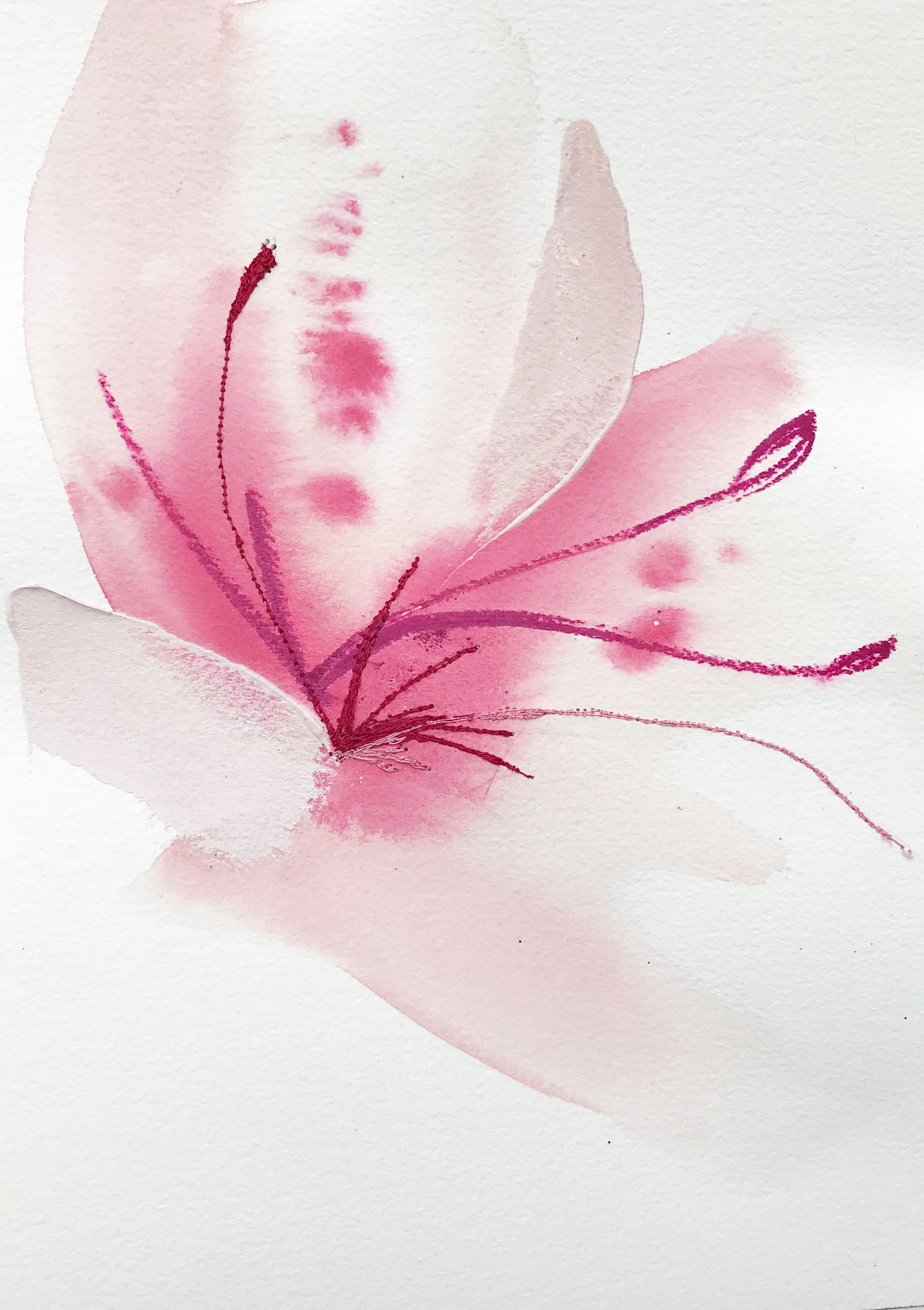 Deeann Rieves. Abstract Floral Painting. Azalea1.JPEG