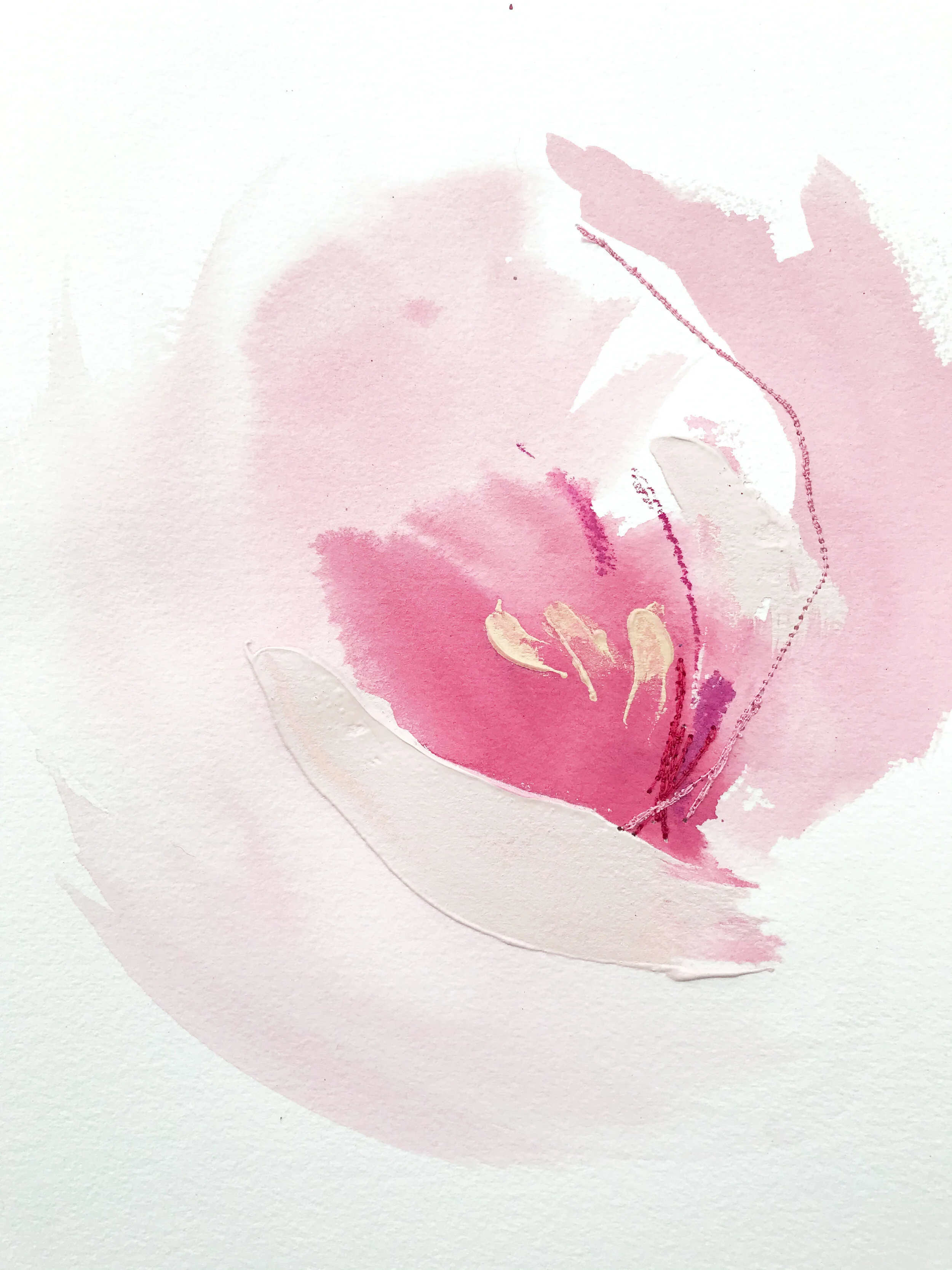 Deeann Rieves. Abstract Floral Painting. French Tulip1. pink.JPEG