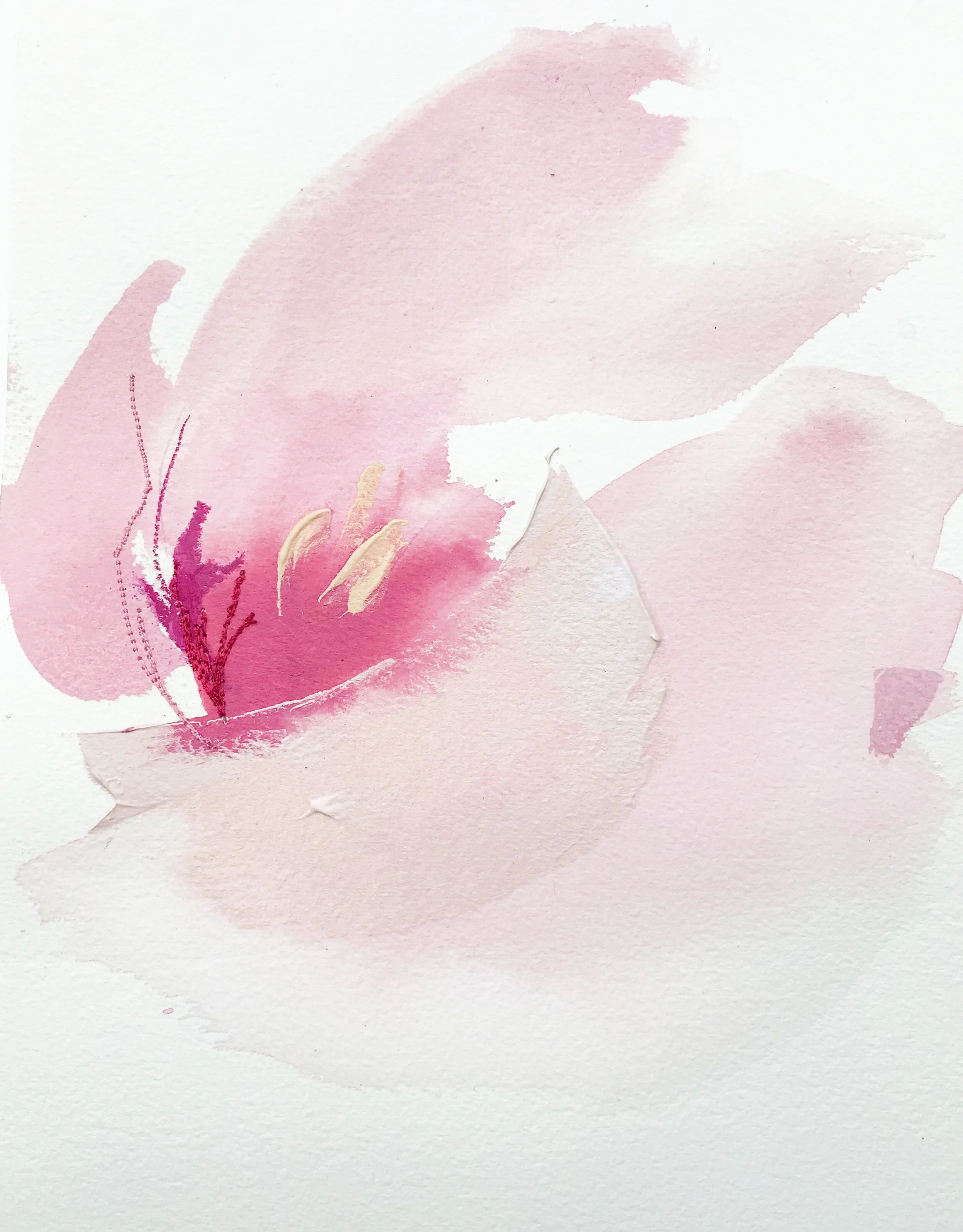 Deeann Rieves. Abstract Floral Painting. French Tulip 3. pink.JPEG
