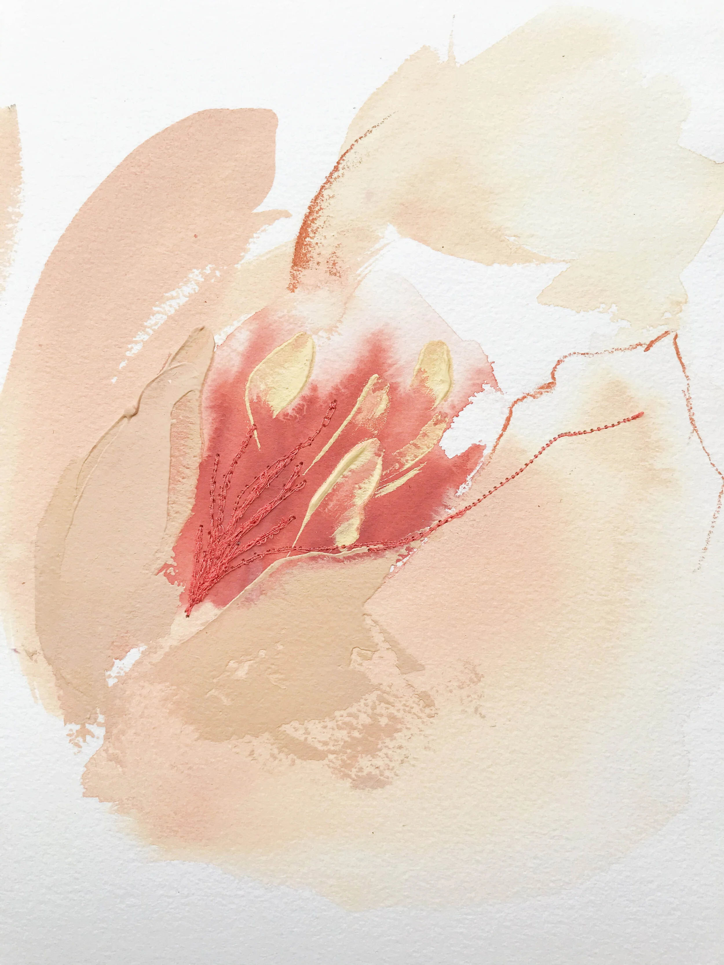 Deeann Rieves. Abstract Floral Painting. Peony 1. peach.JPEG