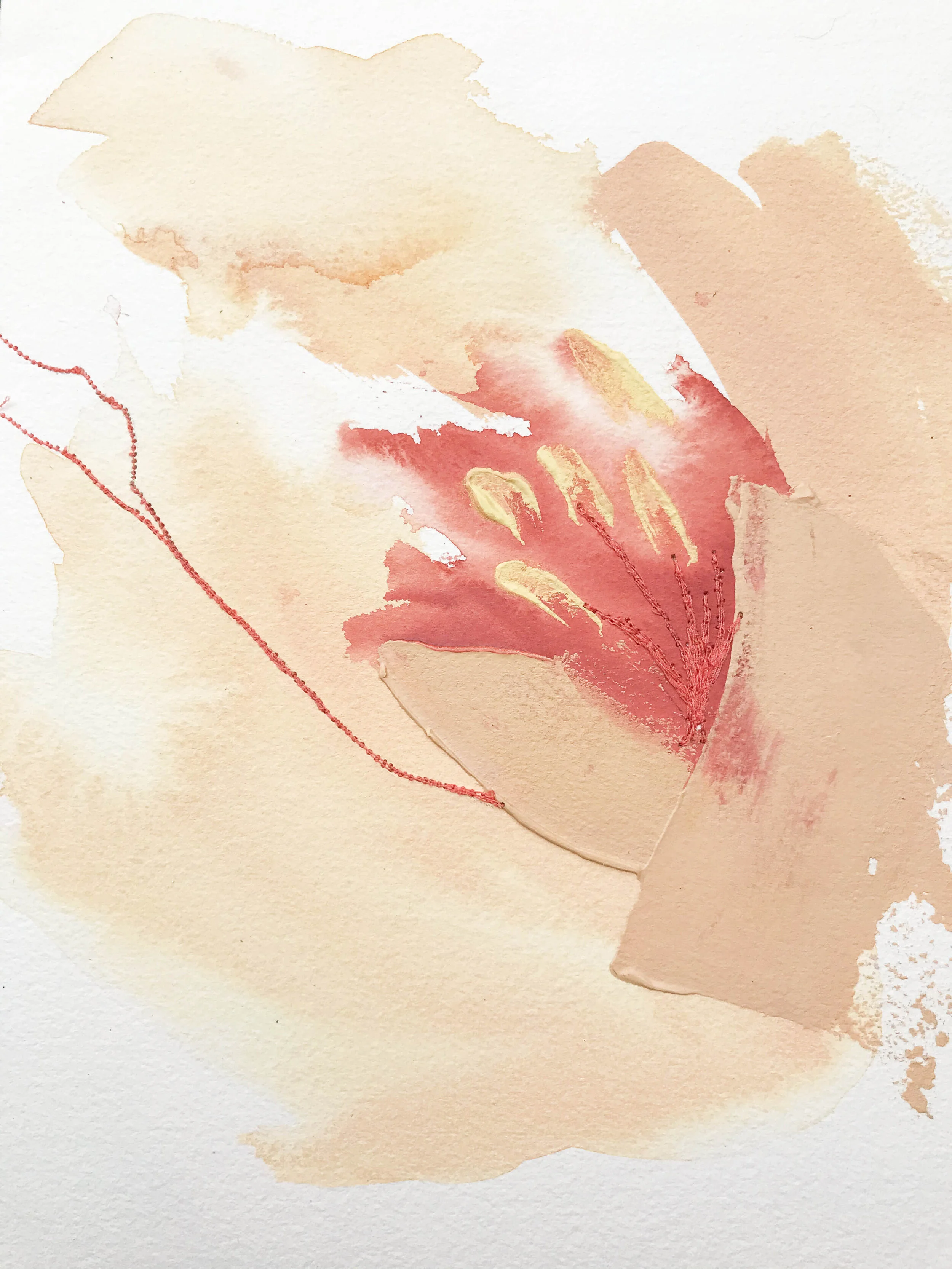 Deeann Rieves. Abstract Floral Painting. Peony 2. peach.JPEG