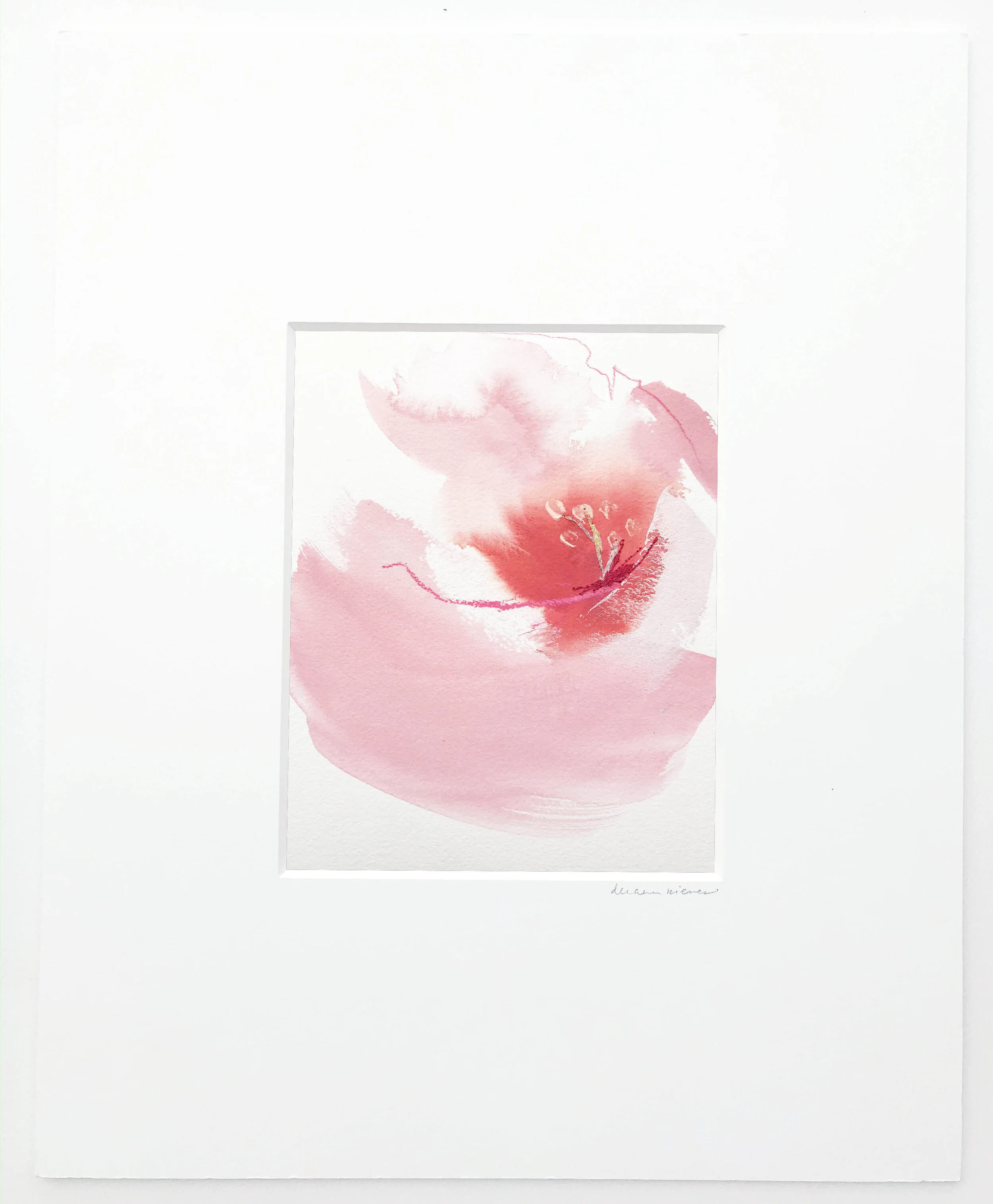Pink Peony 4
