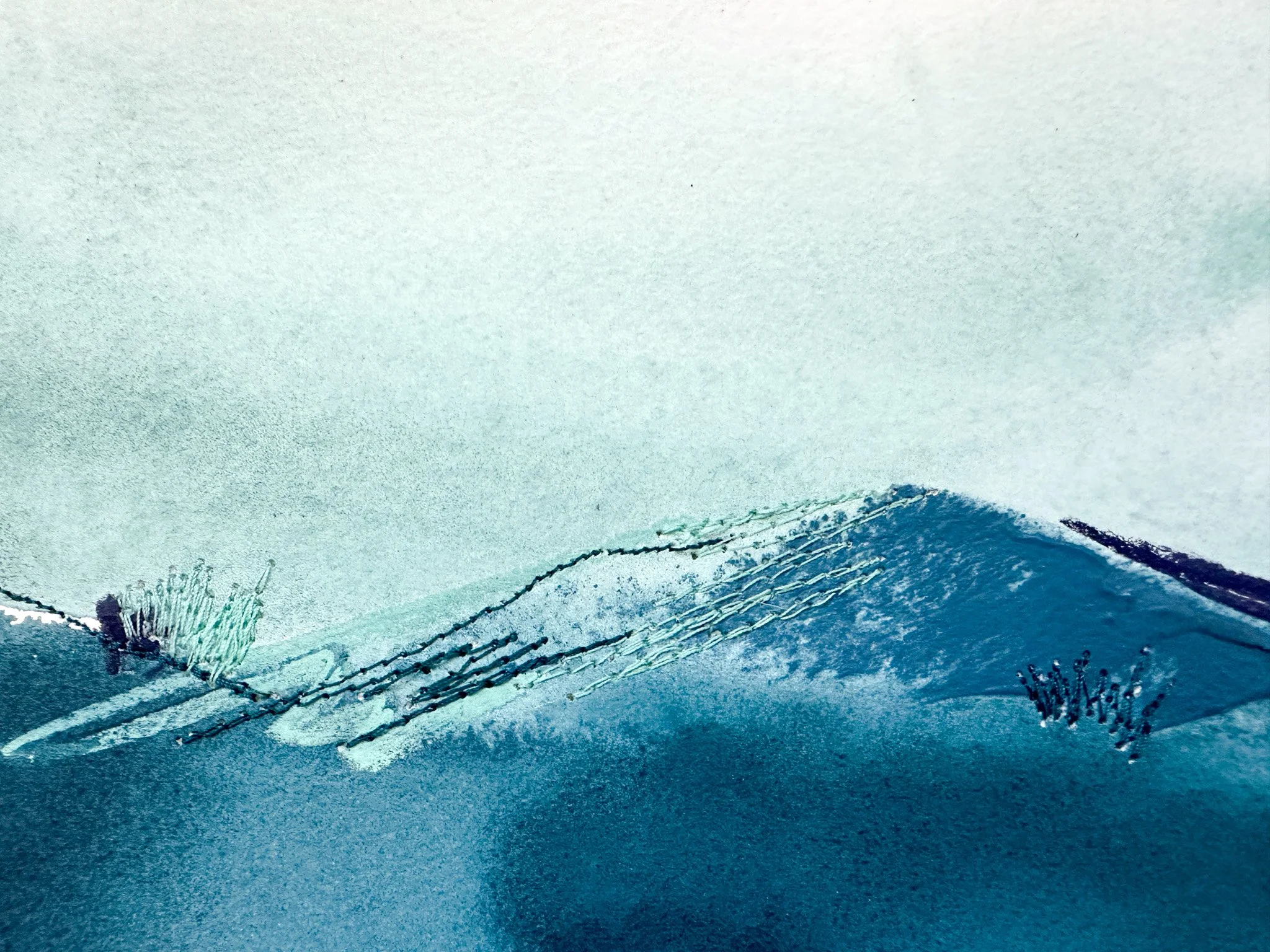 Deeann Rieves- Little Wildflower Painting- Indigo Sky-2-3.jpg