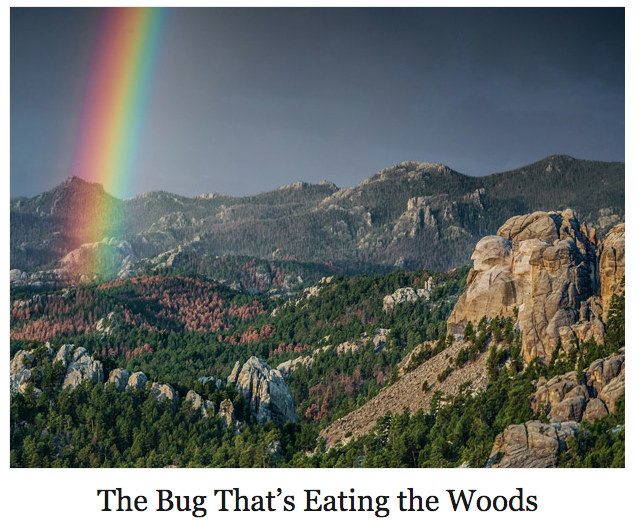Screen Shot 2015-06-14 at 7.42.16 PM.png