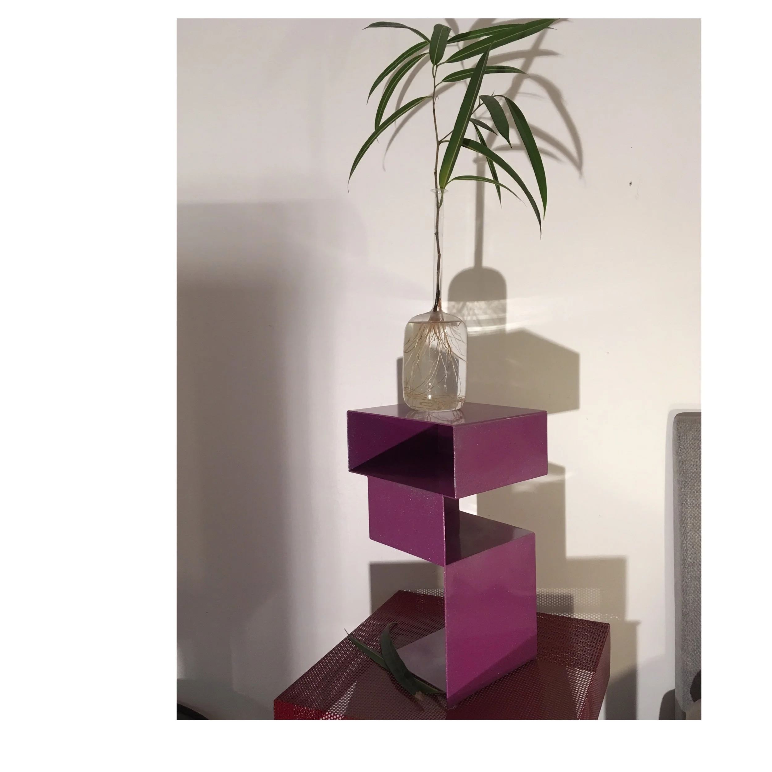 IGGY by PELTIN_IMG_6150.JPG 01.JPG