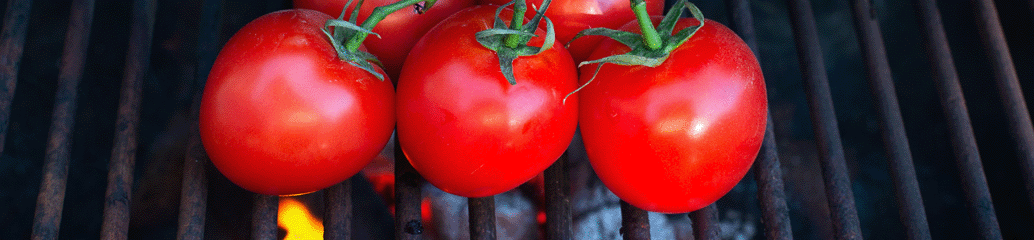 lilly s smoked tomato basil hummus lilly s foods lilly s smoked tomato basil hummus