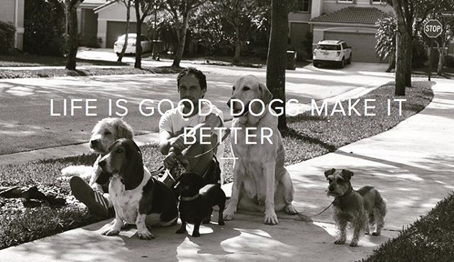 A dog has no use for fancy cars...
or big homes or designer clothes.
A waterlogged stick
will dojust fine.
A dog doesn't care
if you're rich or poor...
clever or dull, smart or dumb.
Give 'em your heart
and he'll give you #dog #dogsofinstagram #dogs 