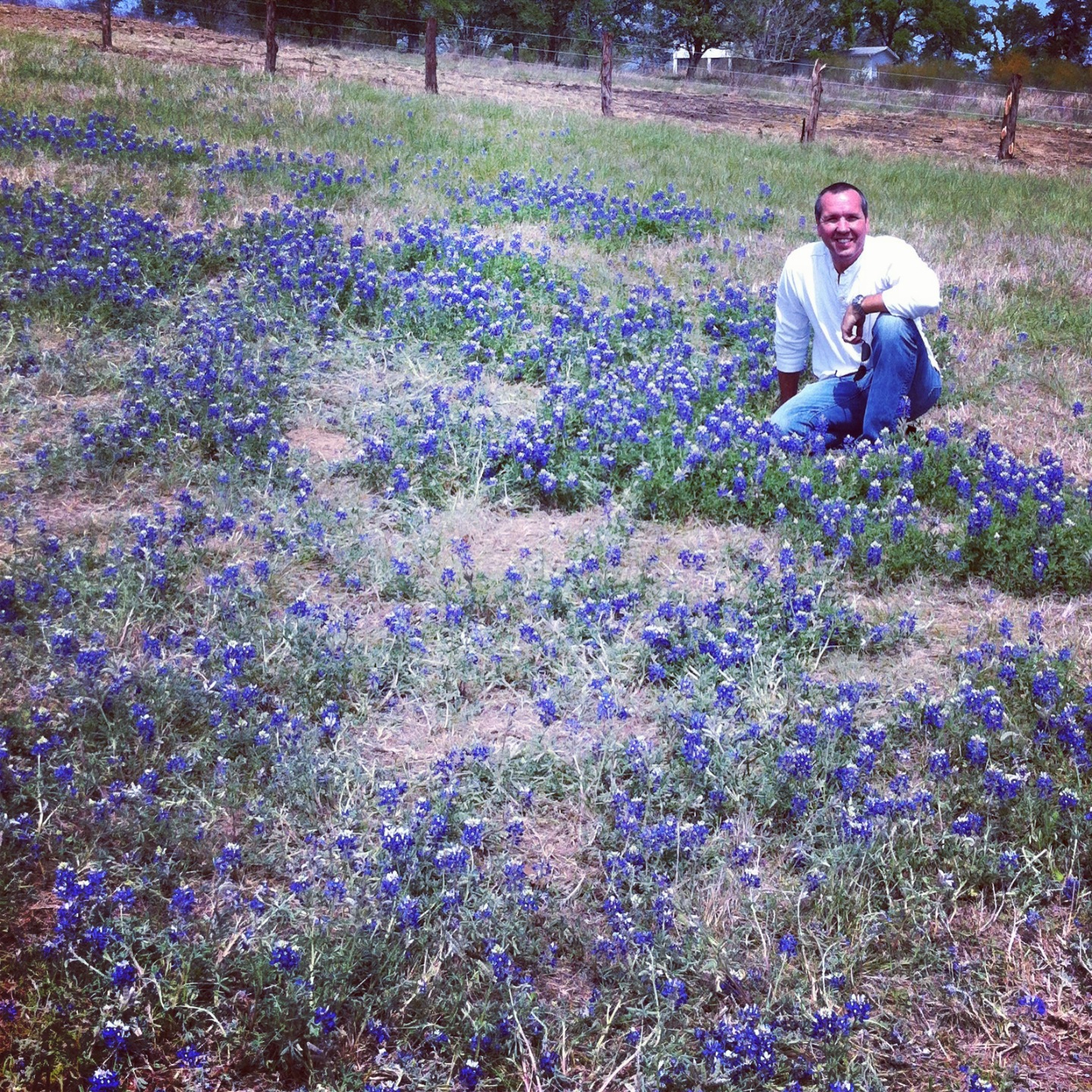 his first time seeing bluebonnets, my california guy