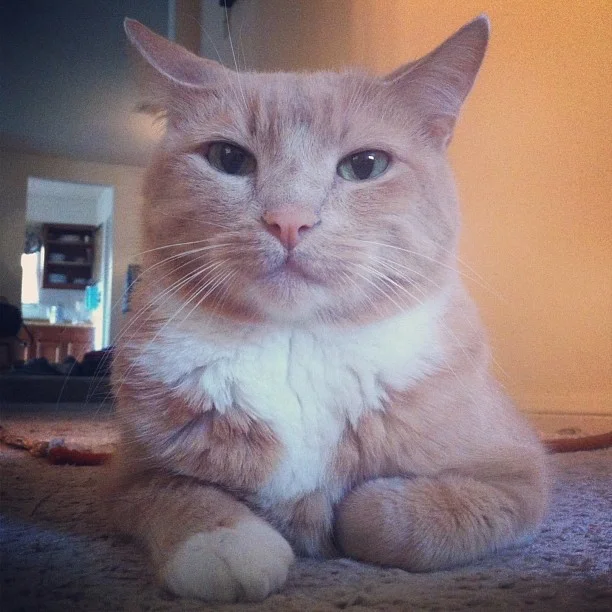 Ned.