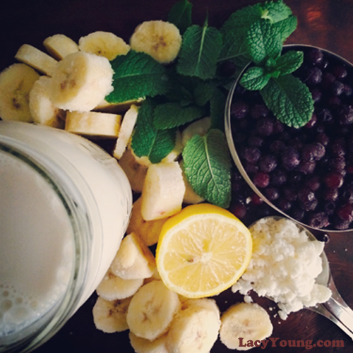 Lacy-Young-Blueberry-Coco-Mint