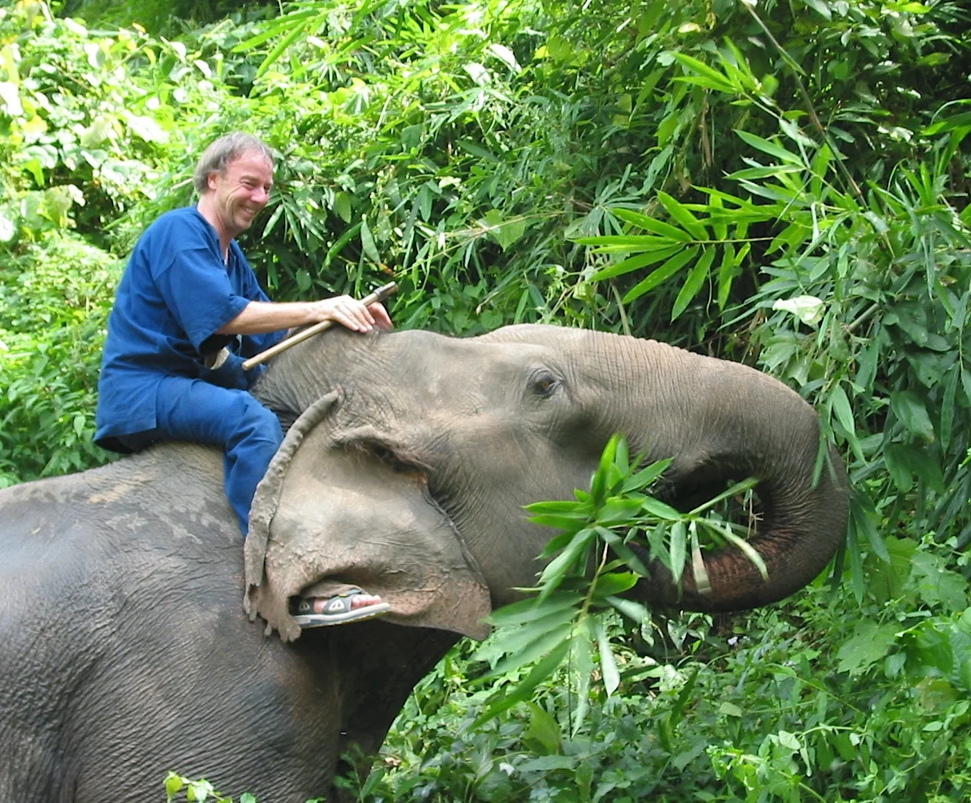 THAI ELEPHANT CONSERVATION CENTER AND HOSPITAL. THIS IS SIDOR YAI