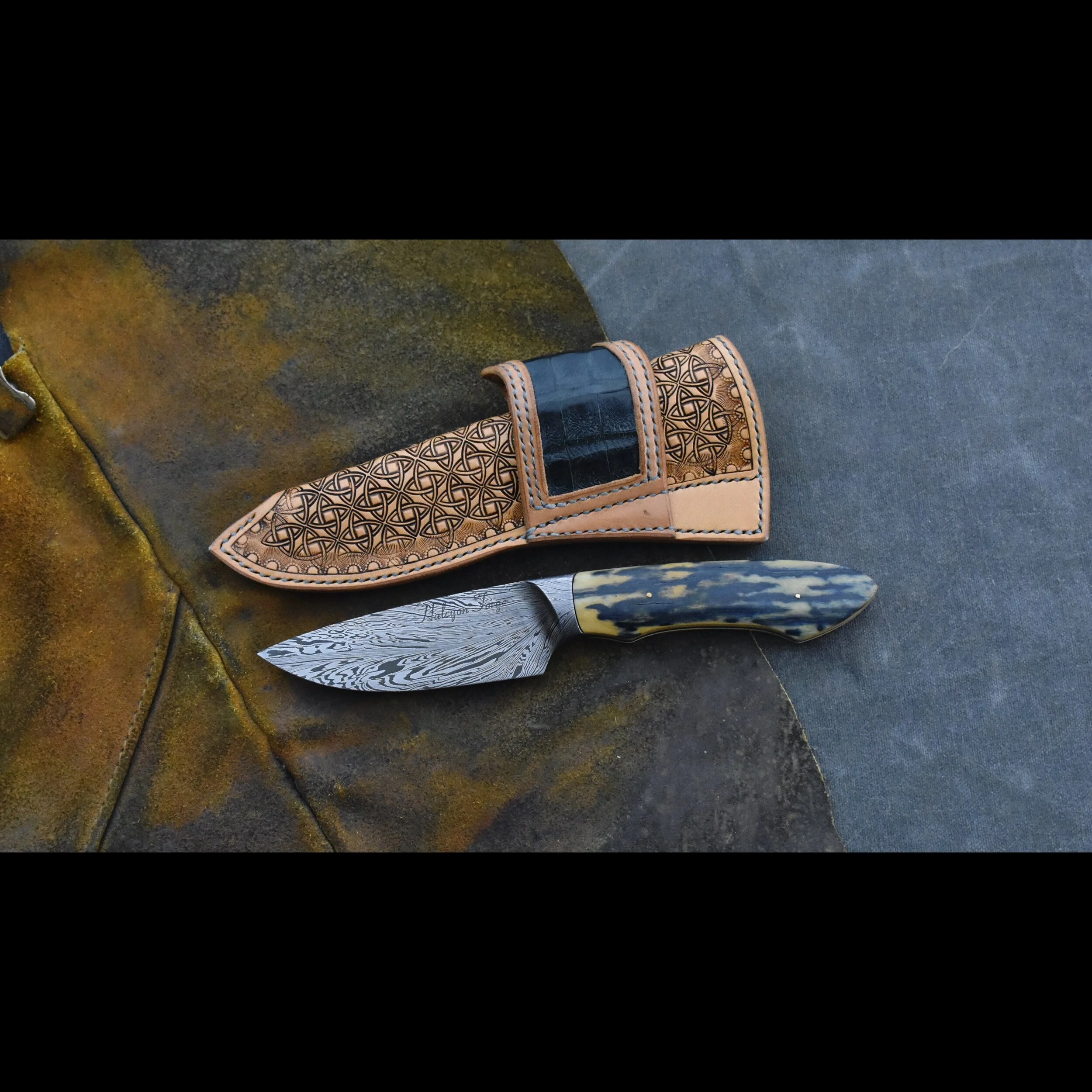 F9DDD7F6-A61D-4B88-91ED-70A89FC6B876