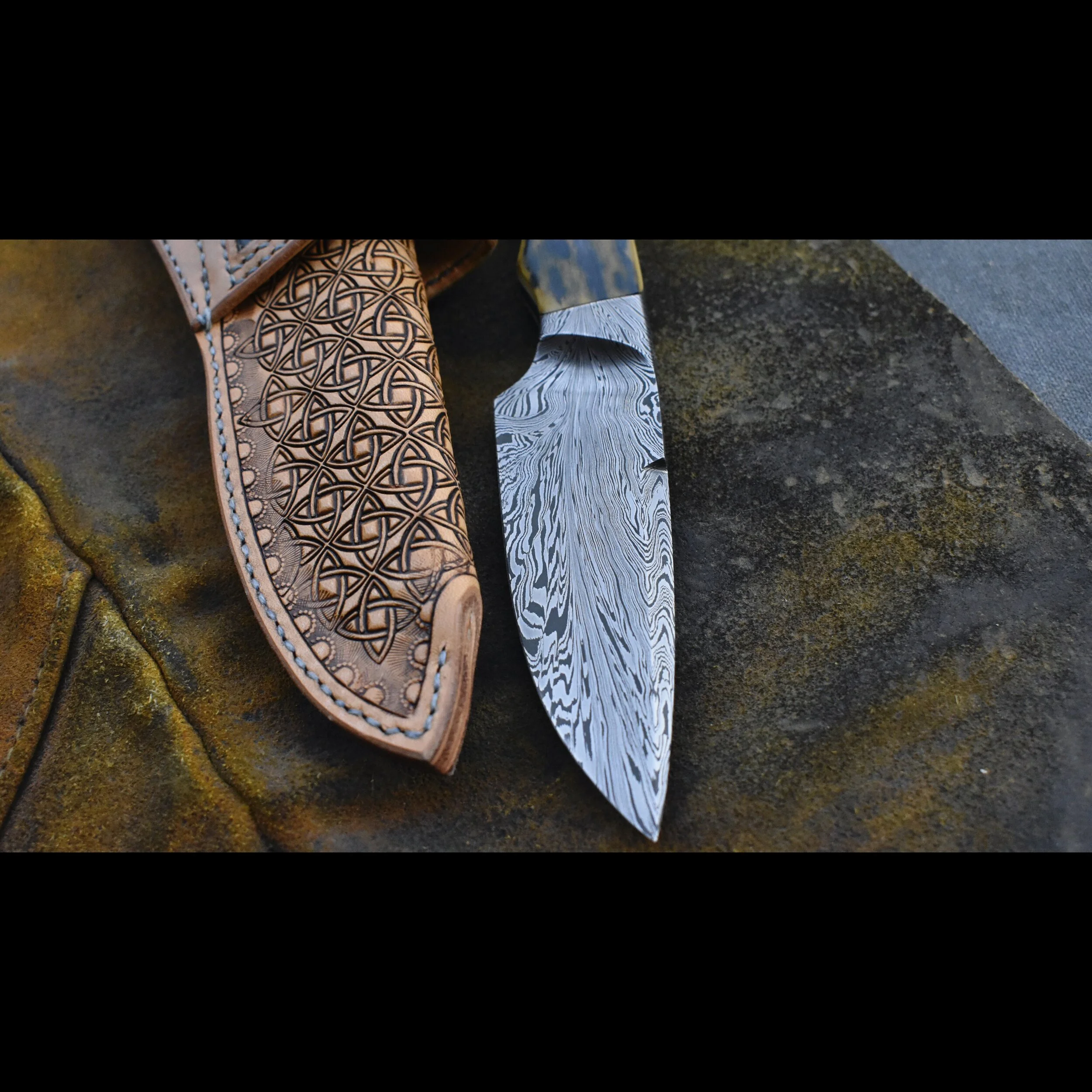 5001E8A8-A468-4067-8AAA-909745ECC471