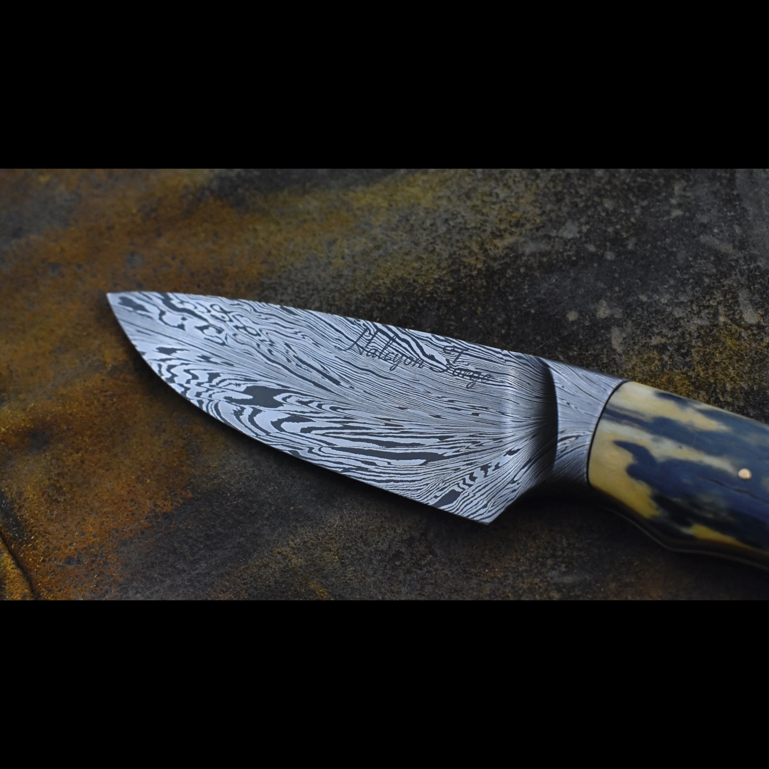 20007191-3125-4425-BACD-DDFBBF8D87BA