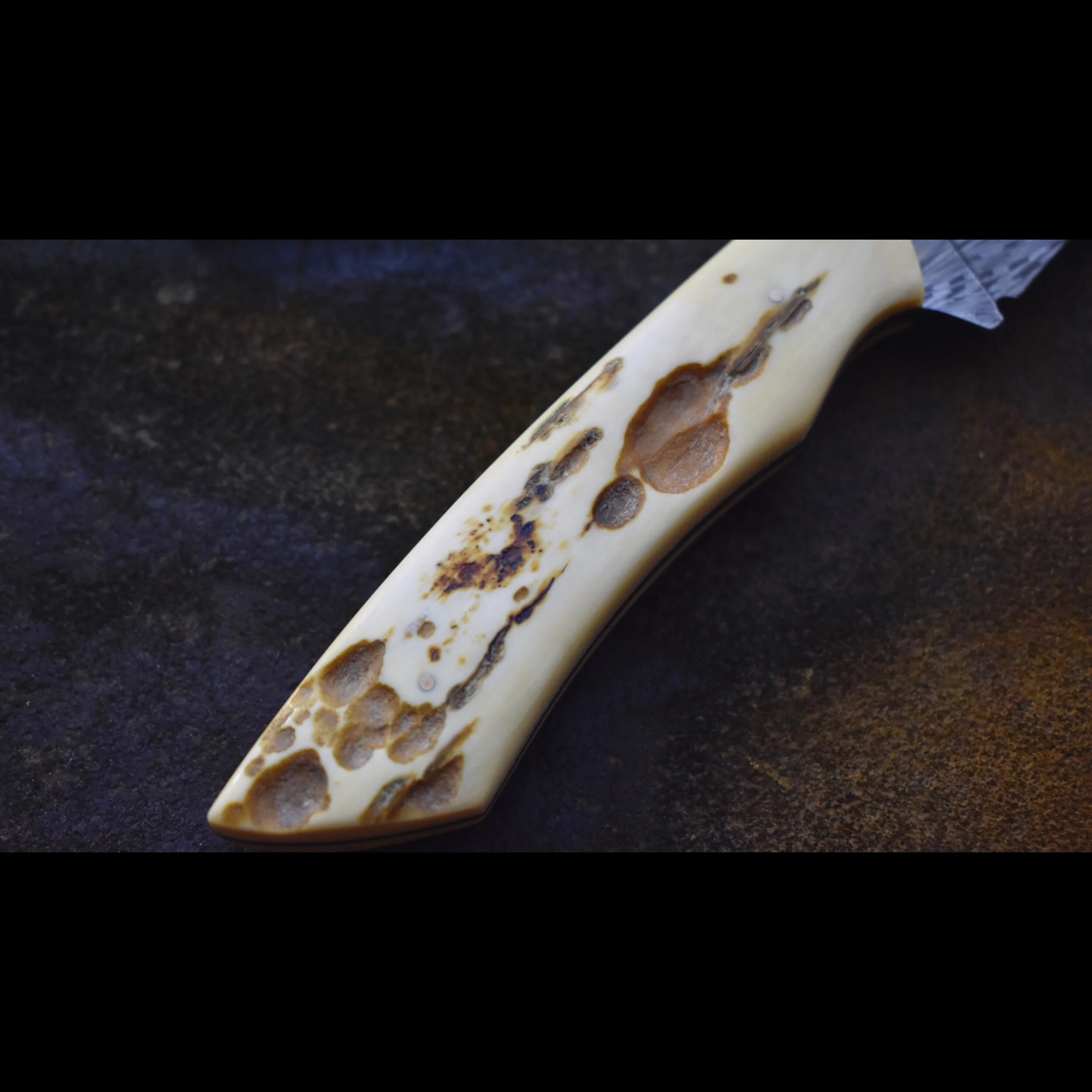 5DE16B03-34A3-47D5-AAF8-4A737FFCD6E3