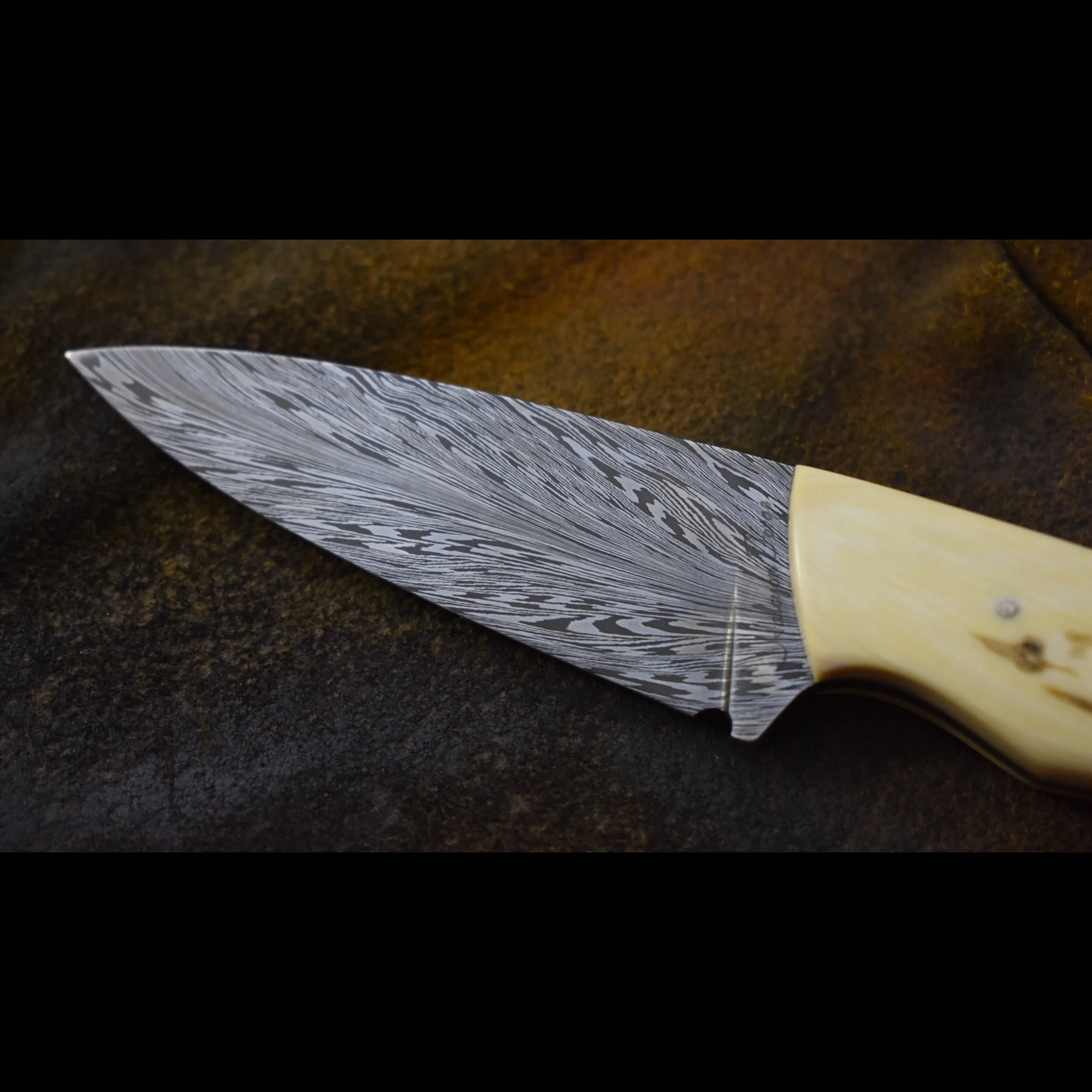 DE85A06C-73A0-44C8-95C0-559877B002FA