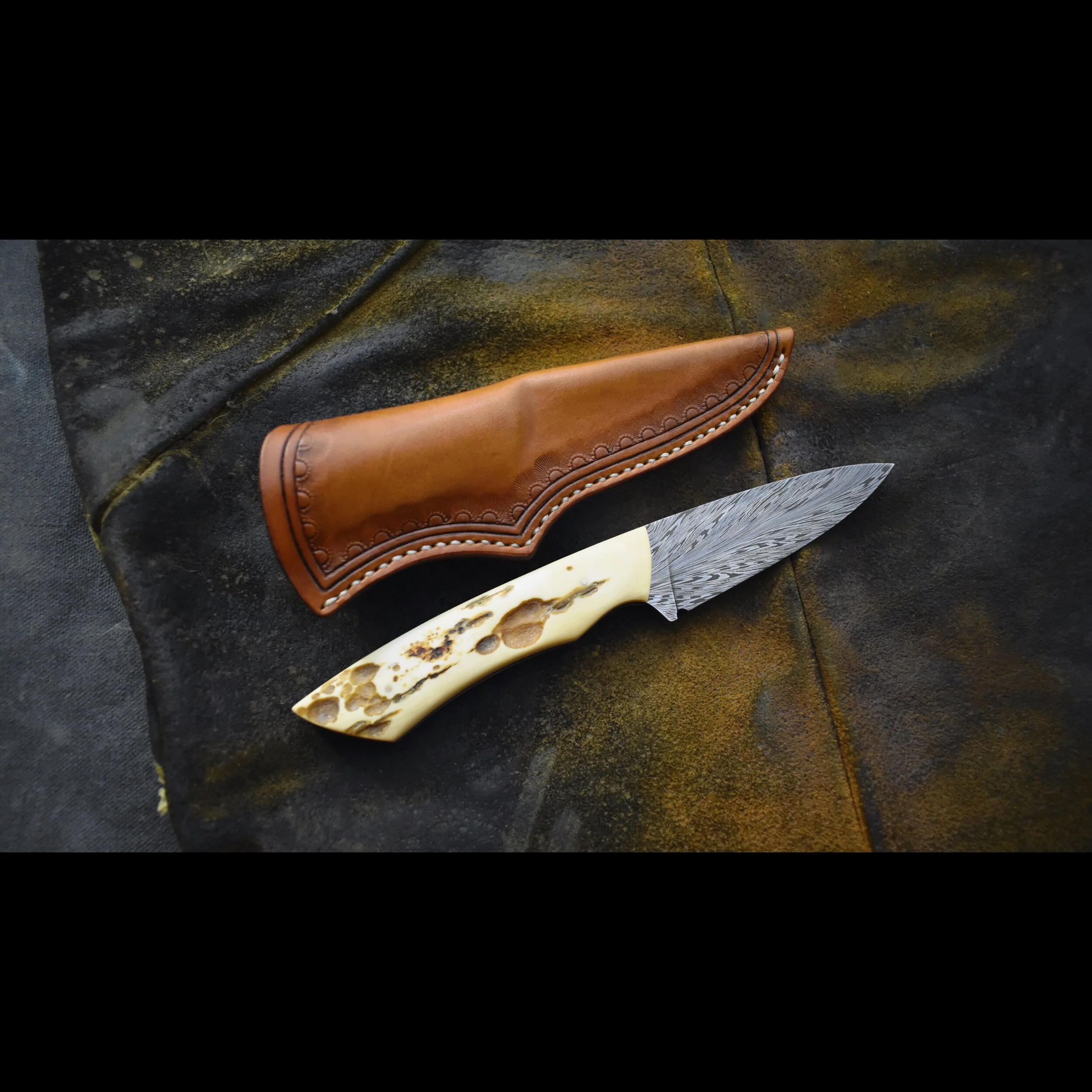 868160CD-D2B6-4B5B-A5ED-D4B60F19CD45