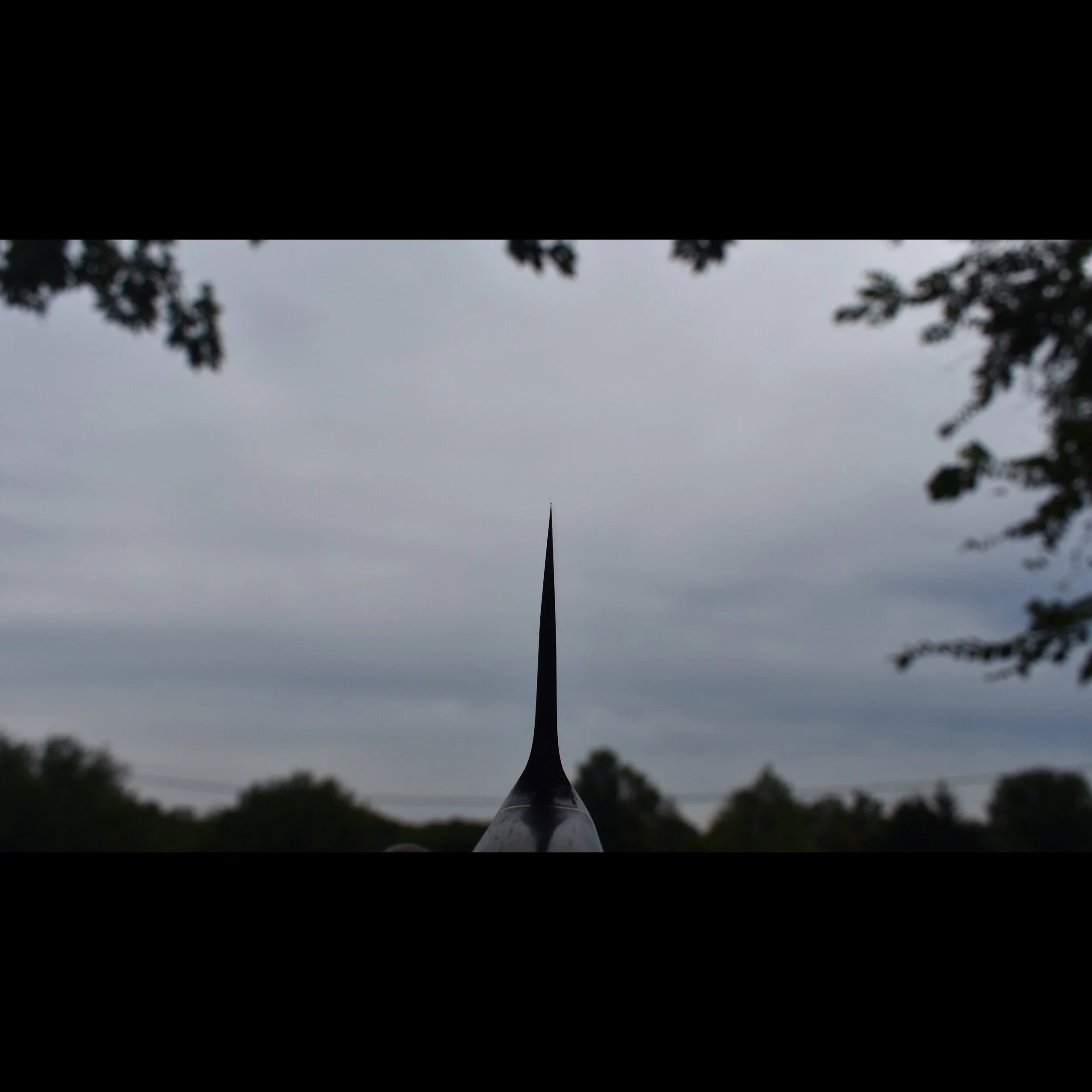 8E2B1370-9C5A-40E9-9AF7-E382D8E69935