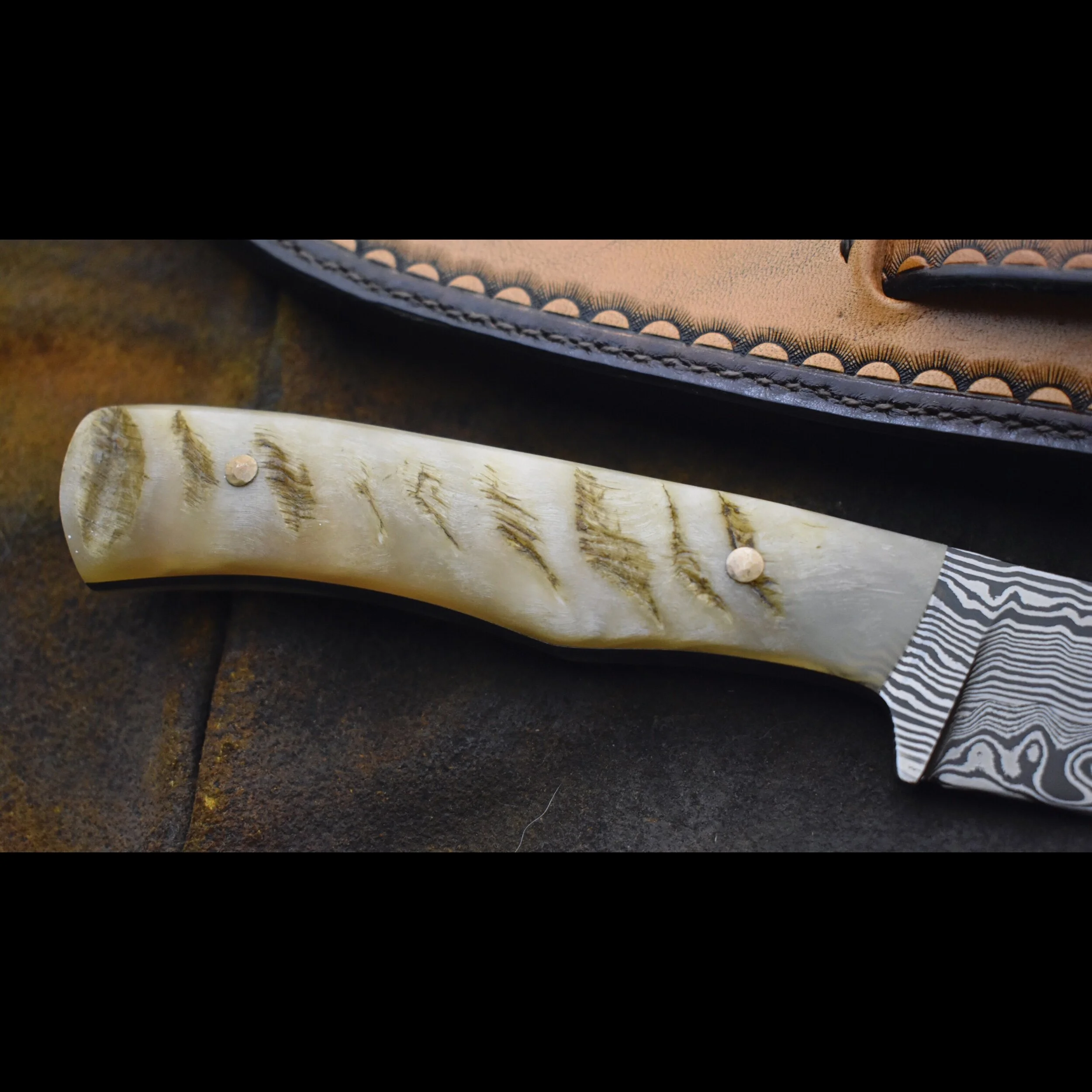 AEB08C4A-48FE-48A8-BC3D-A836B4324CBC