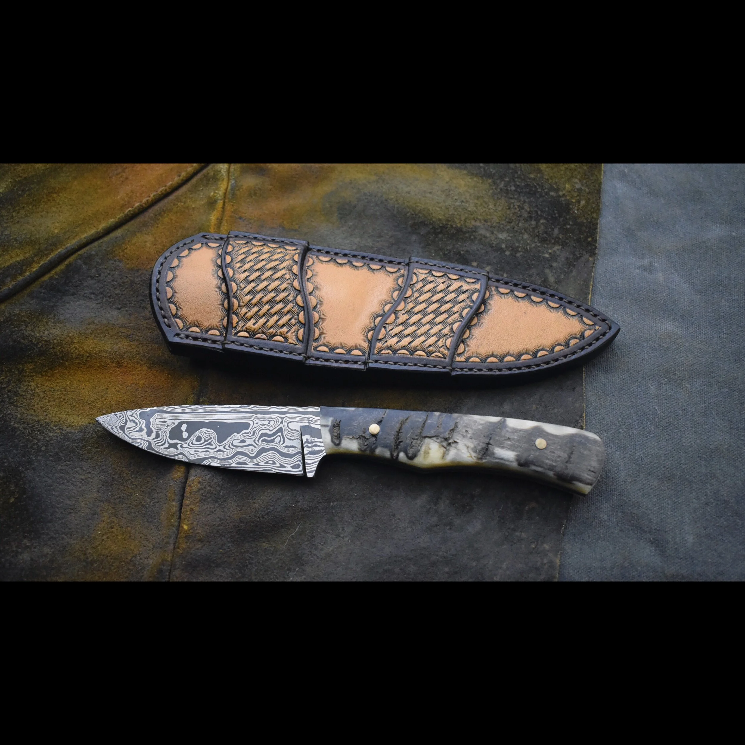 88005DCC-AE44-499E-A2AC-B1612B4A58F2