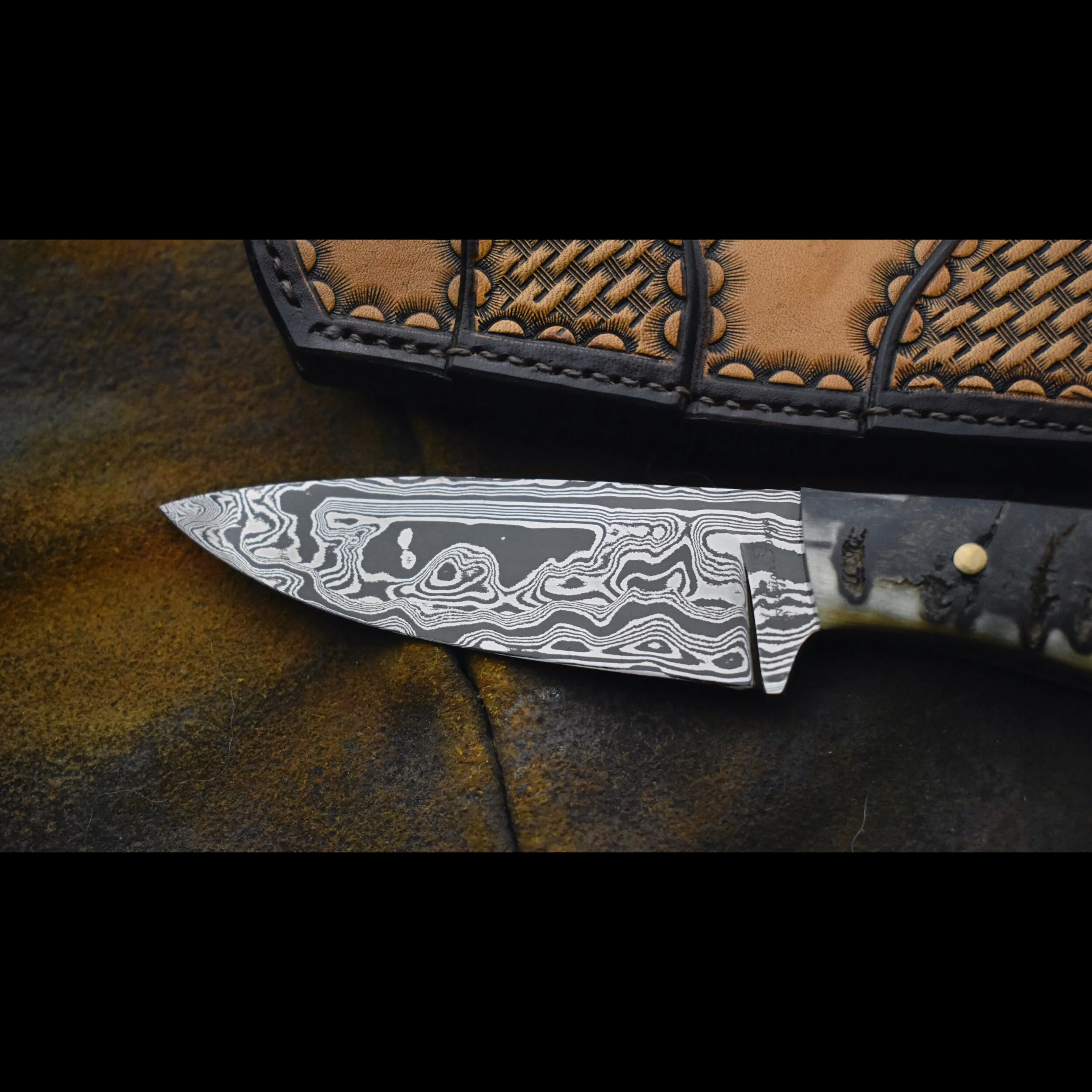 B47B1DBD-1376-4AB9-A611-8A83405BACB7