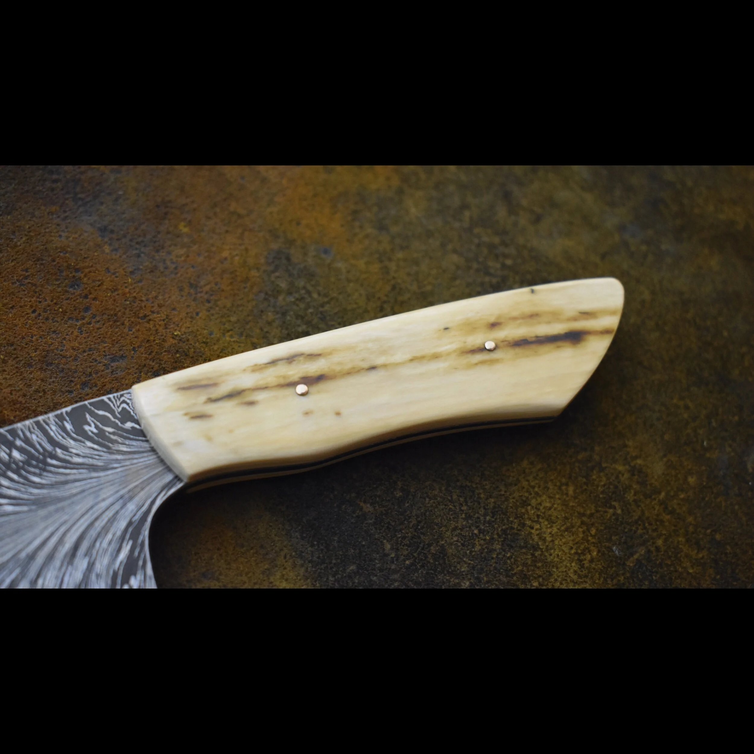 6C5F2729-7376-4F11-BEFF-C4C5082CA9A1