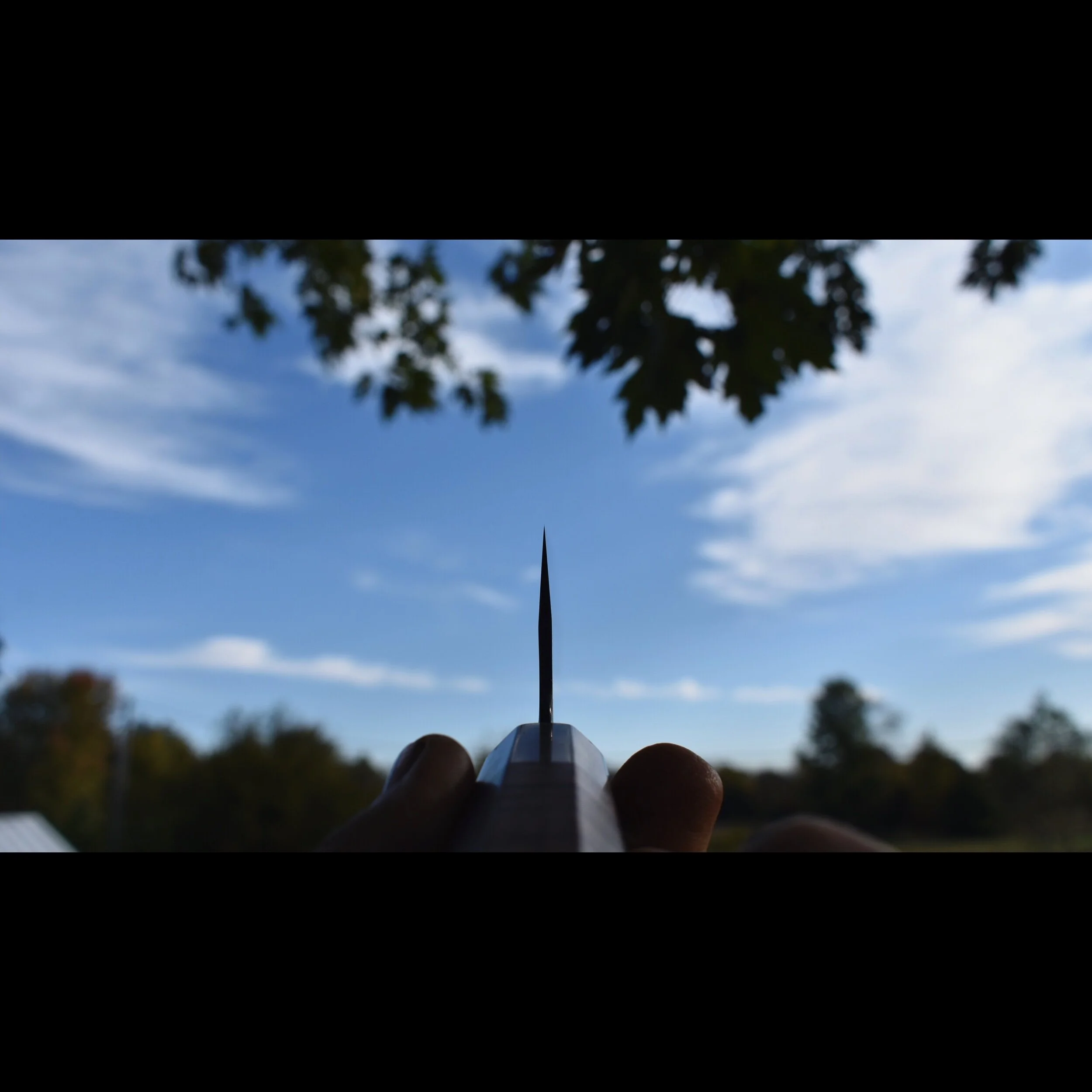 B931F1FB-C4F8-4310-BFF2-7A55A0FD67F0