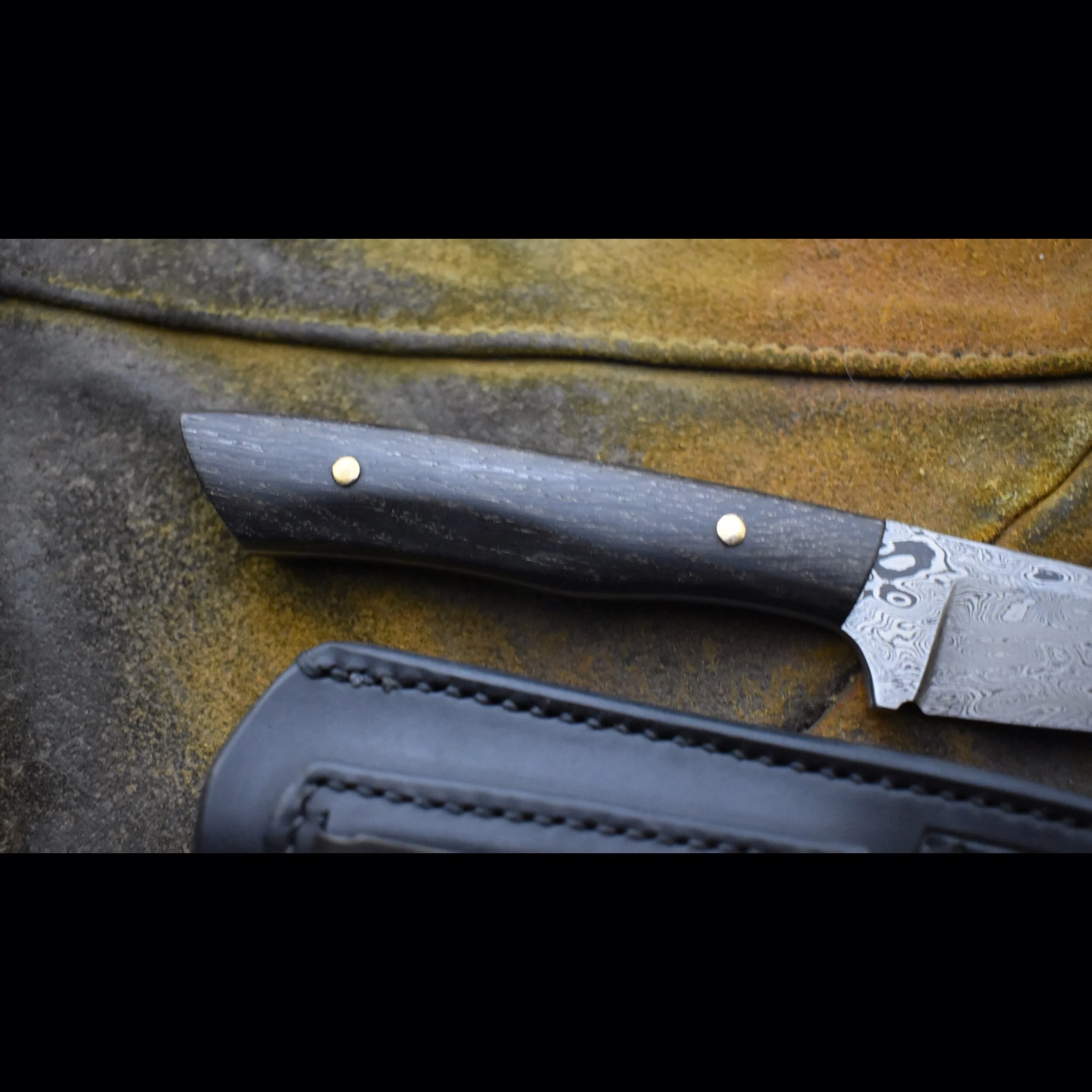 733F6F5B-0489-4D5B-87DD-6B50D41F1872