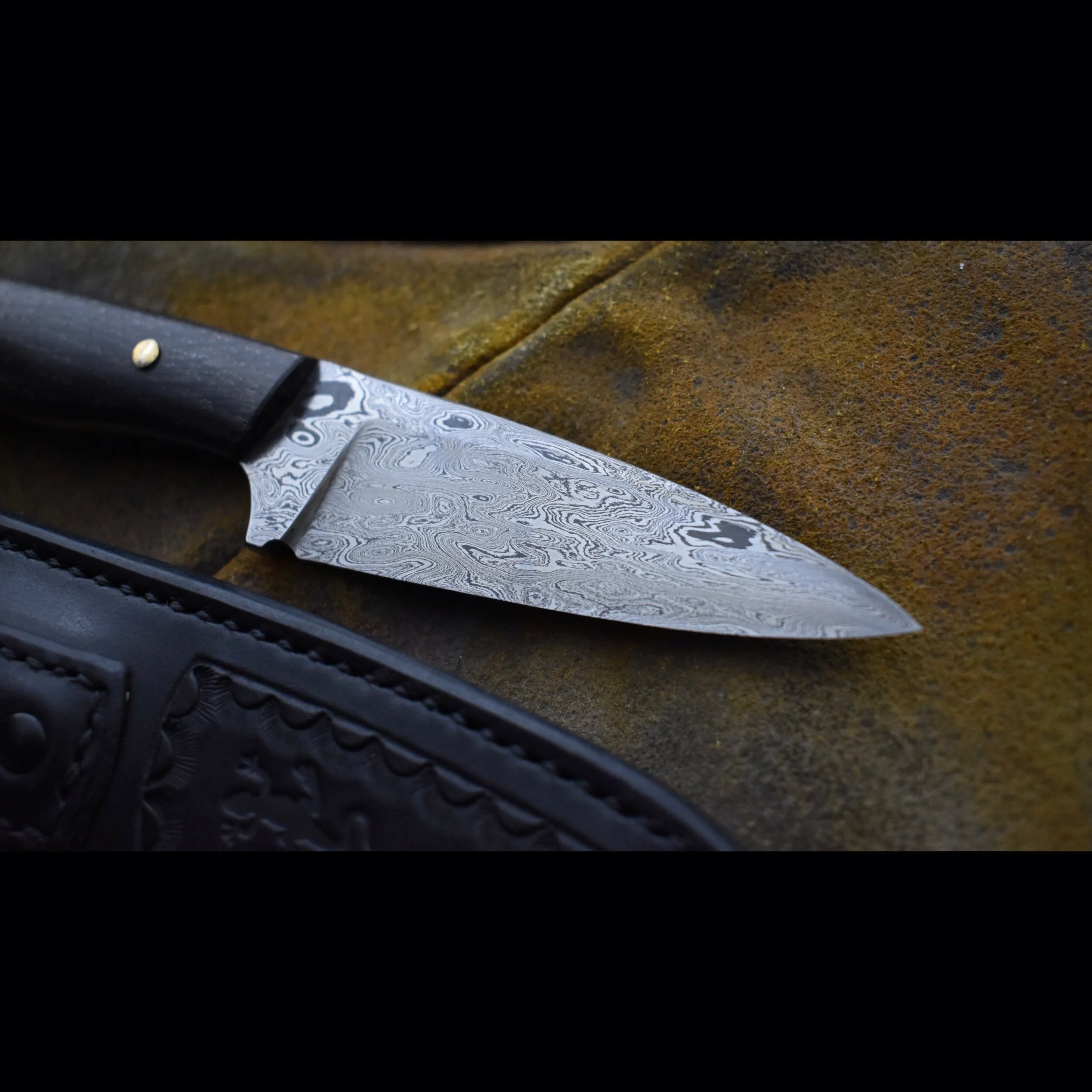 C2F5D8EC-02E6-441E-9E52-8CC64AC999CA