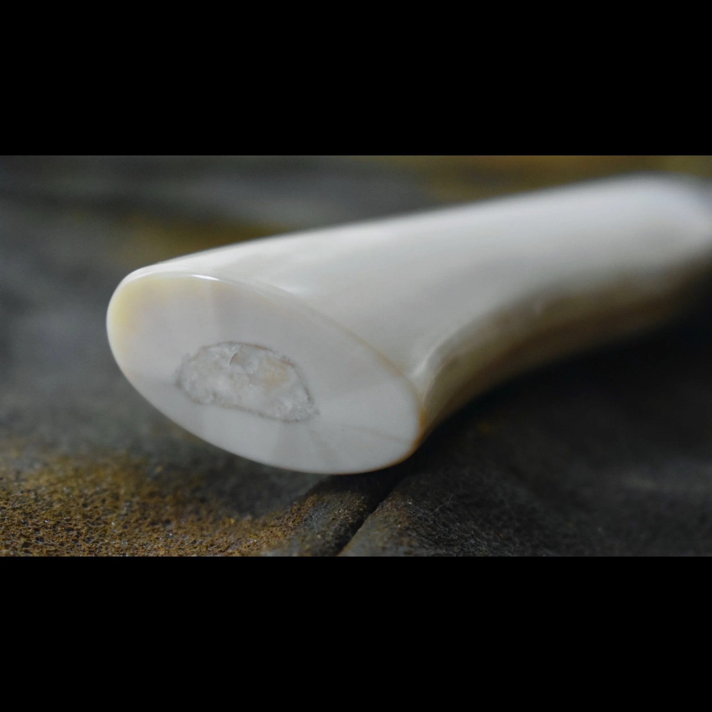 CA954648-CB1F-4A55-B4DD-D1809B680833