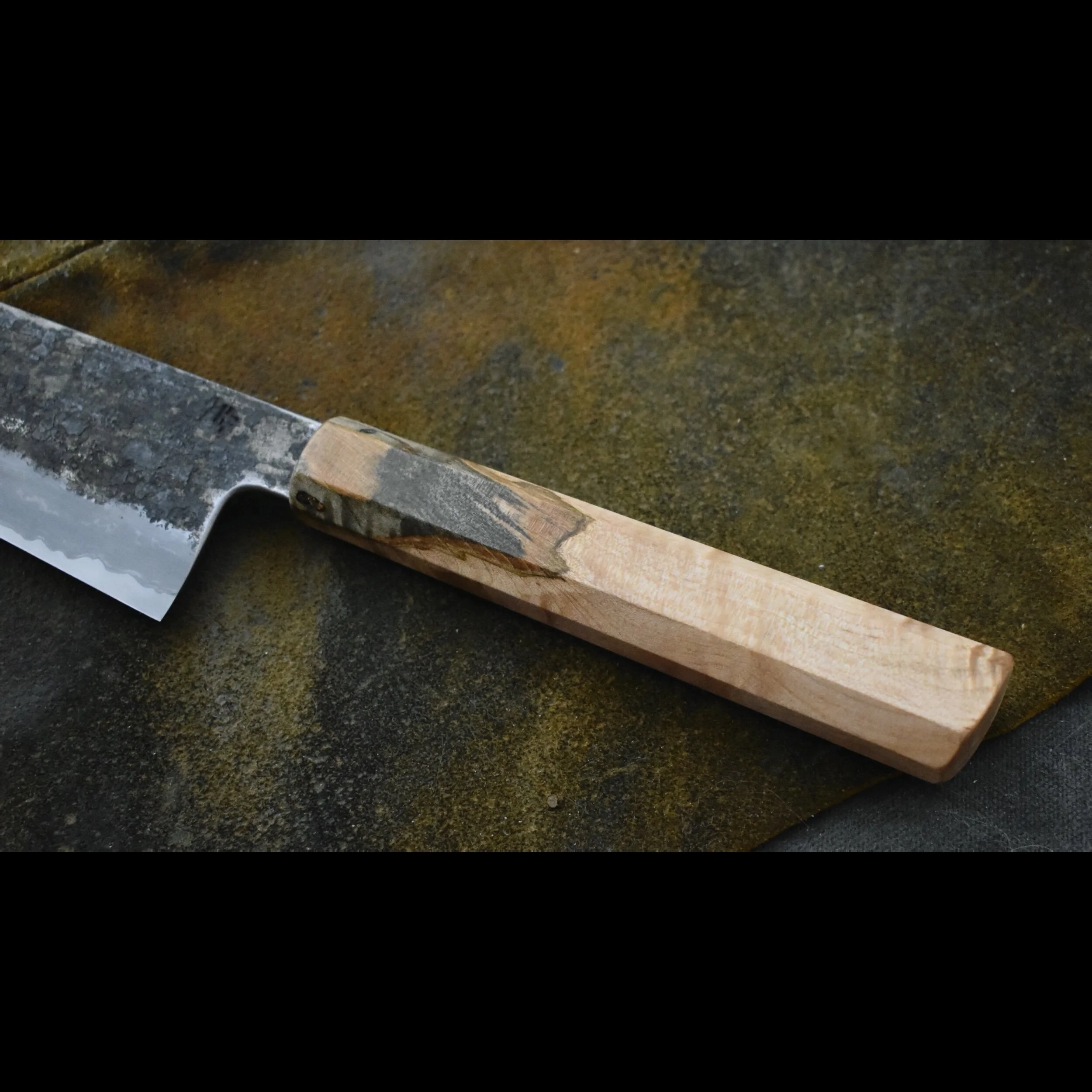 55A5F424-A04C-486C-B227-04F20B89747E