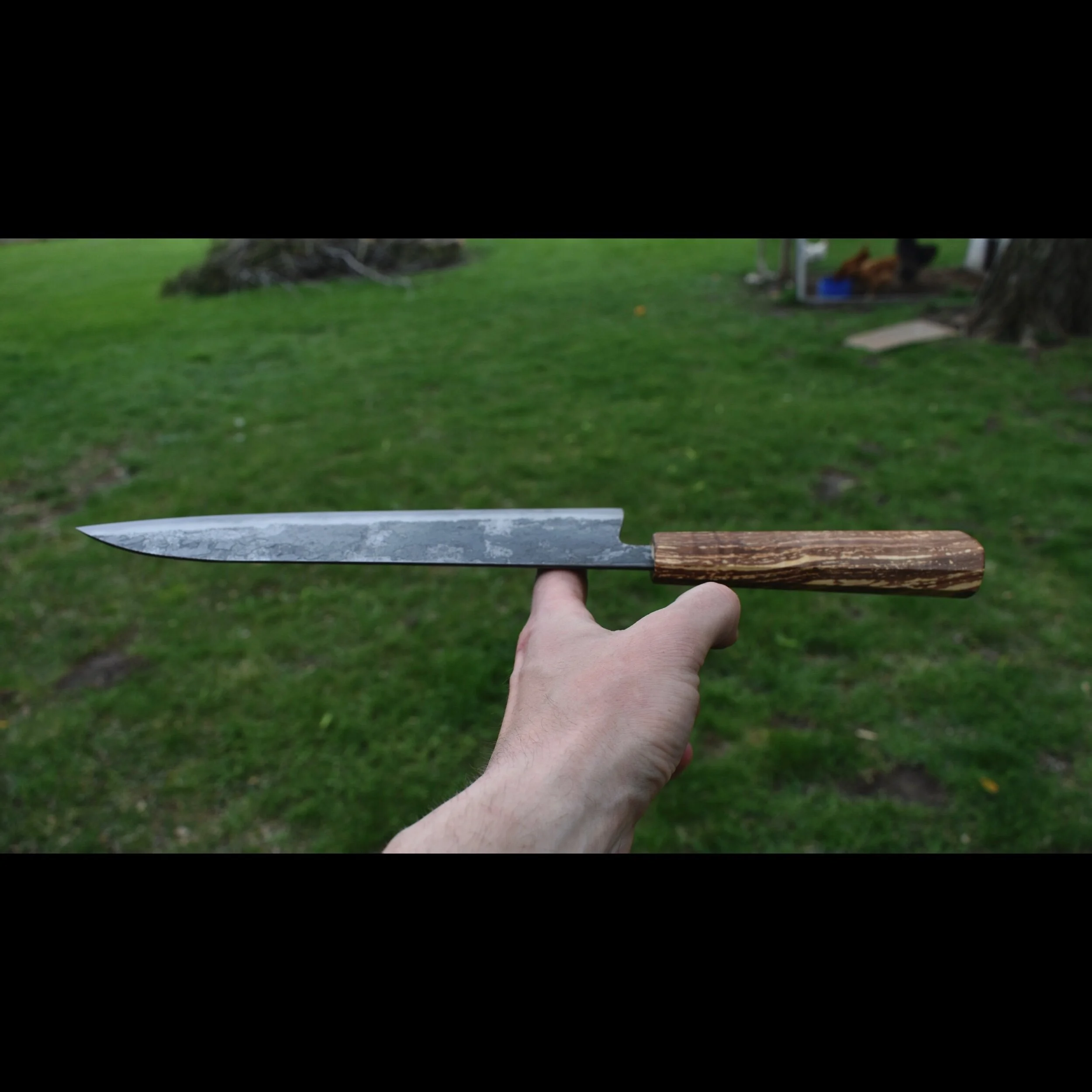 FFC9025B-F383-4817-89DB-E95089E1E3E9