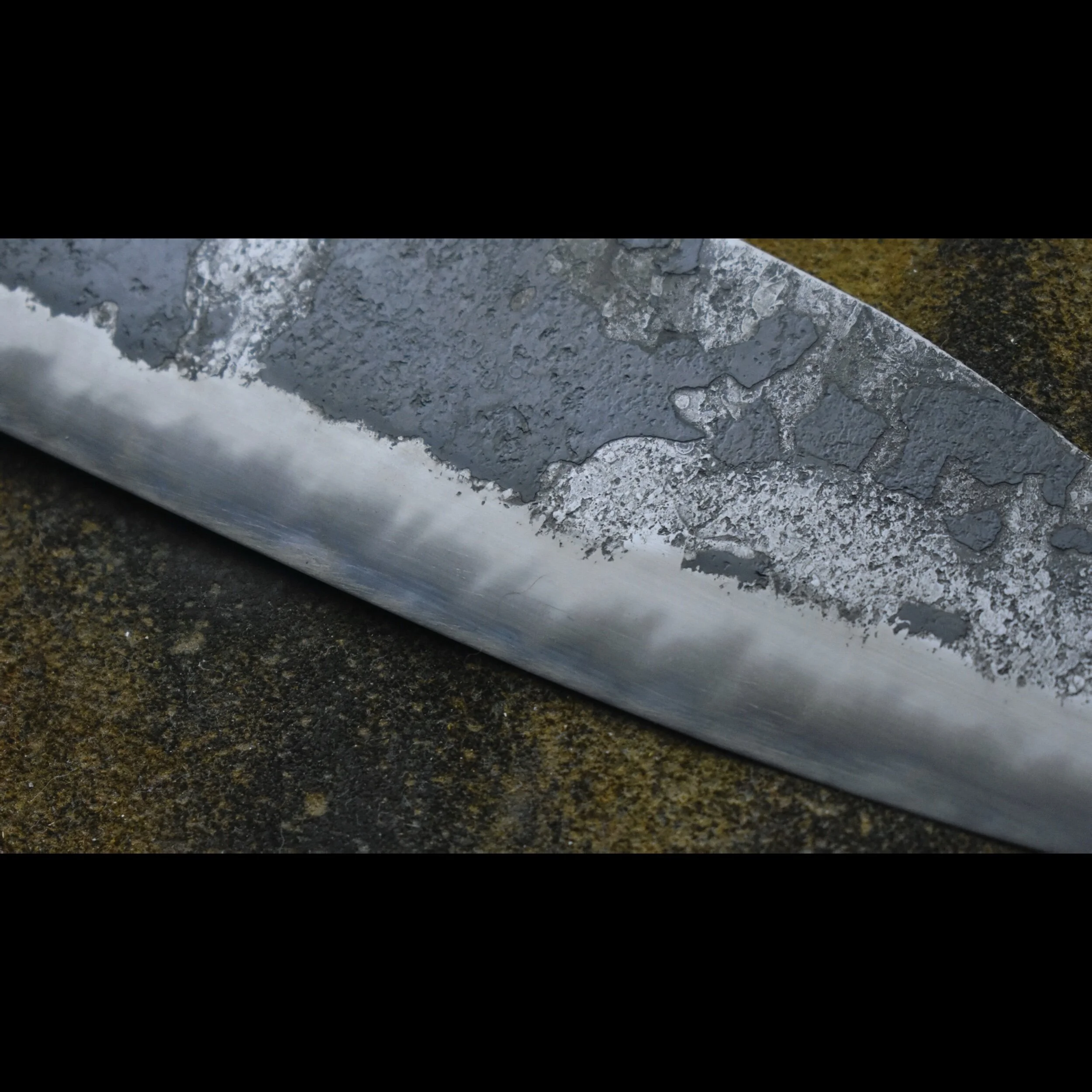 634E0CB8-5E81-4AEC-A0A6-BA3B893D3358