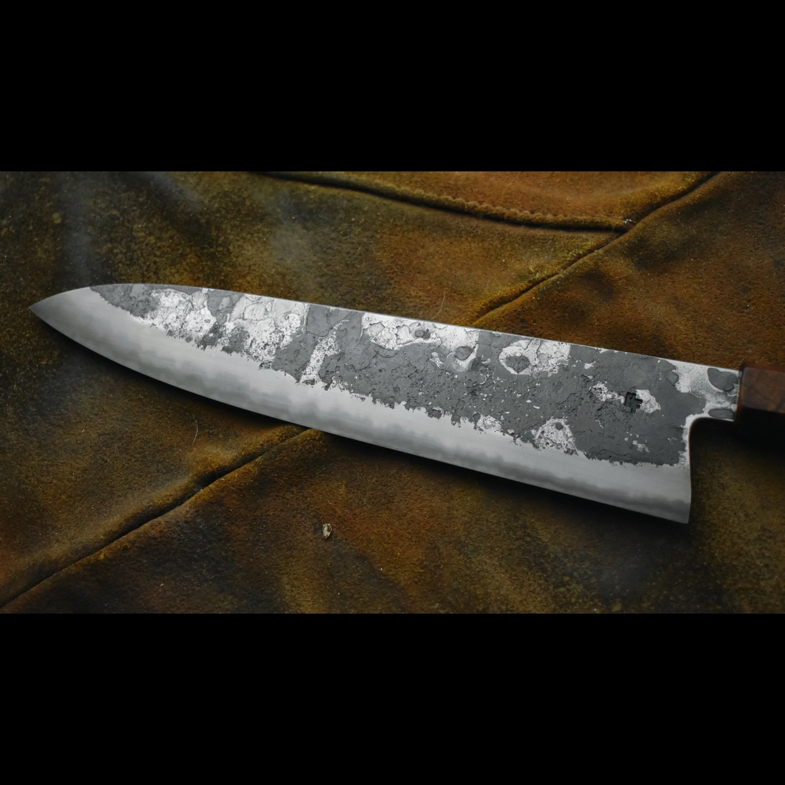 56AF6AB8-C766-499F-A1E3-2103F0AD6EDE