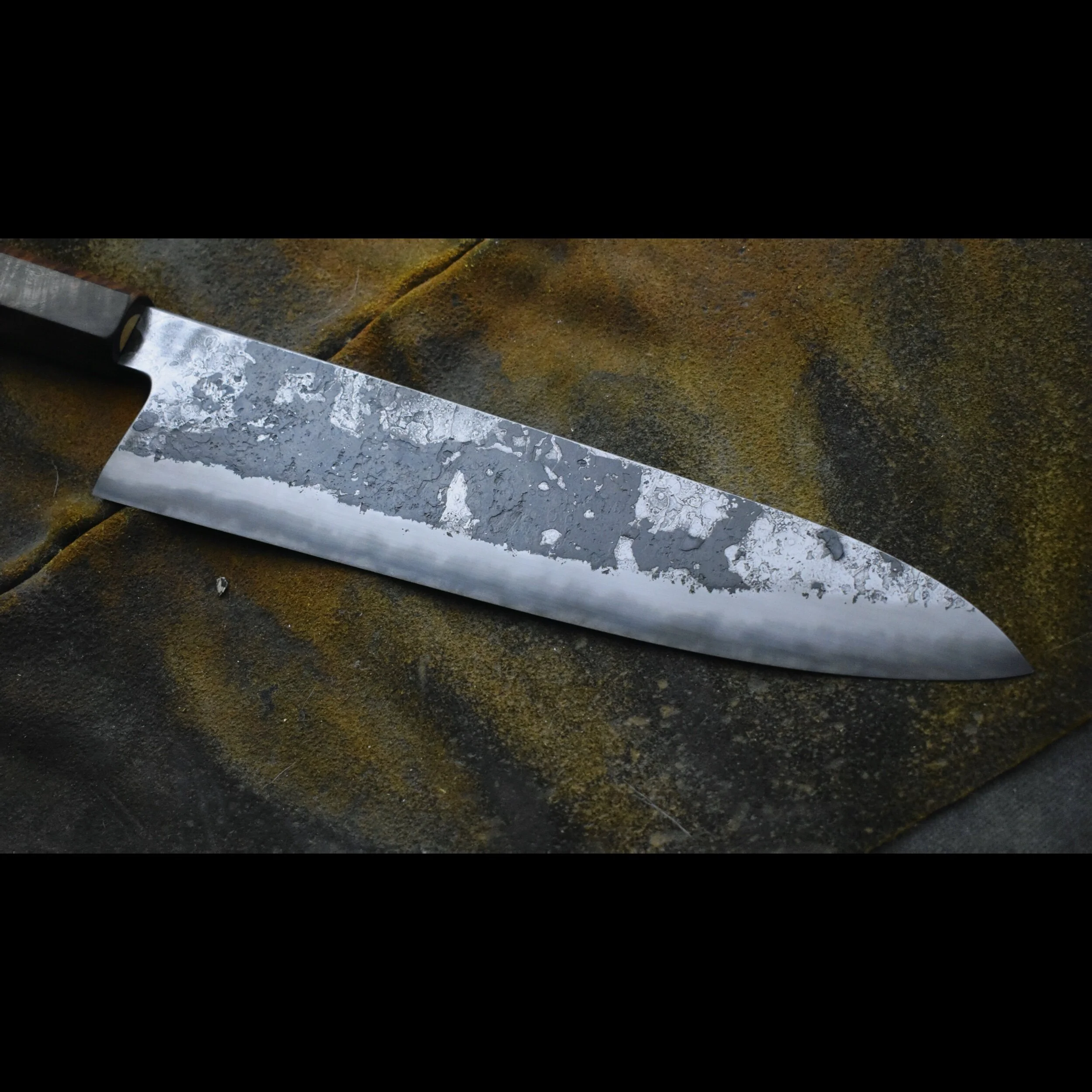 A8EBBD41-42E1-46AA-8512-0BA7704FD93A