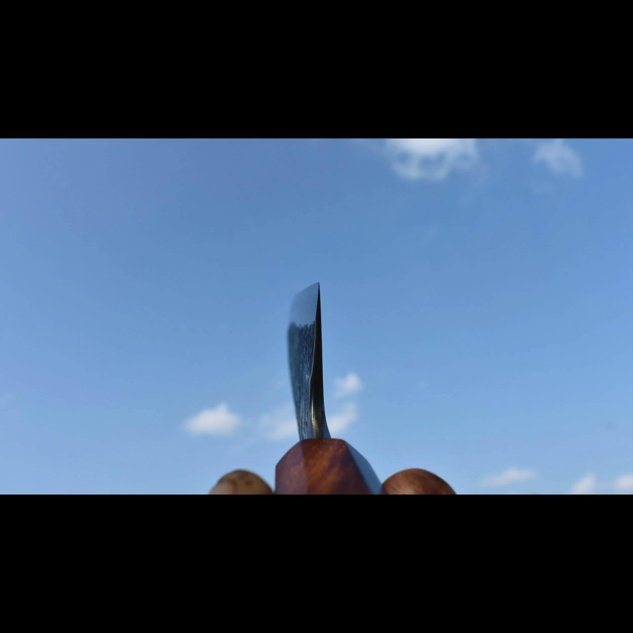 D7661B31-AAE0-450A-821B-620F8F408D55