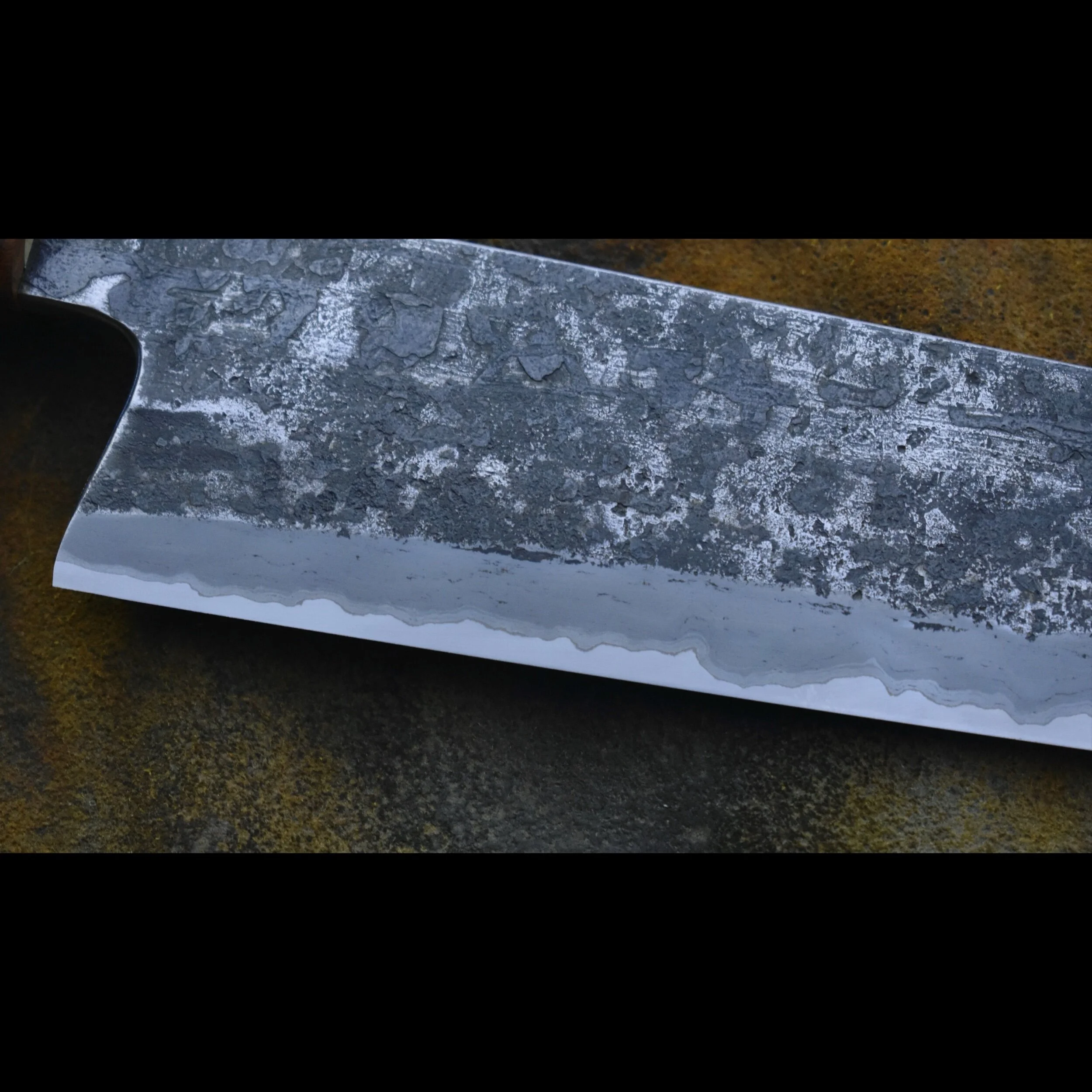 56FB8B4D-974D-4E7A-9FD4-277D69A9D1A5