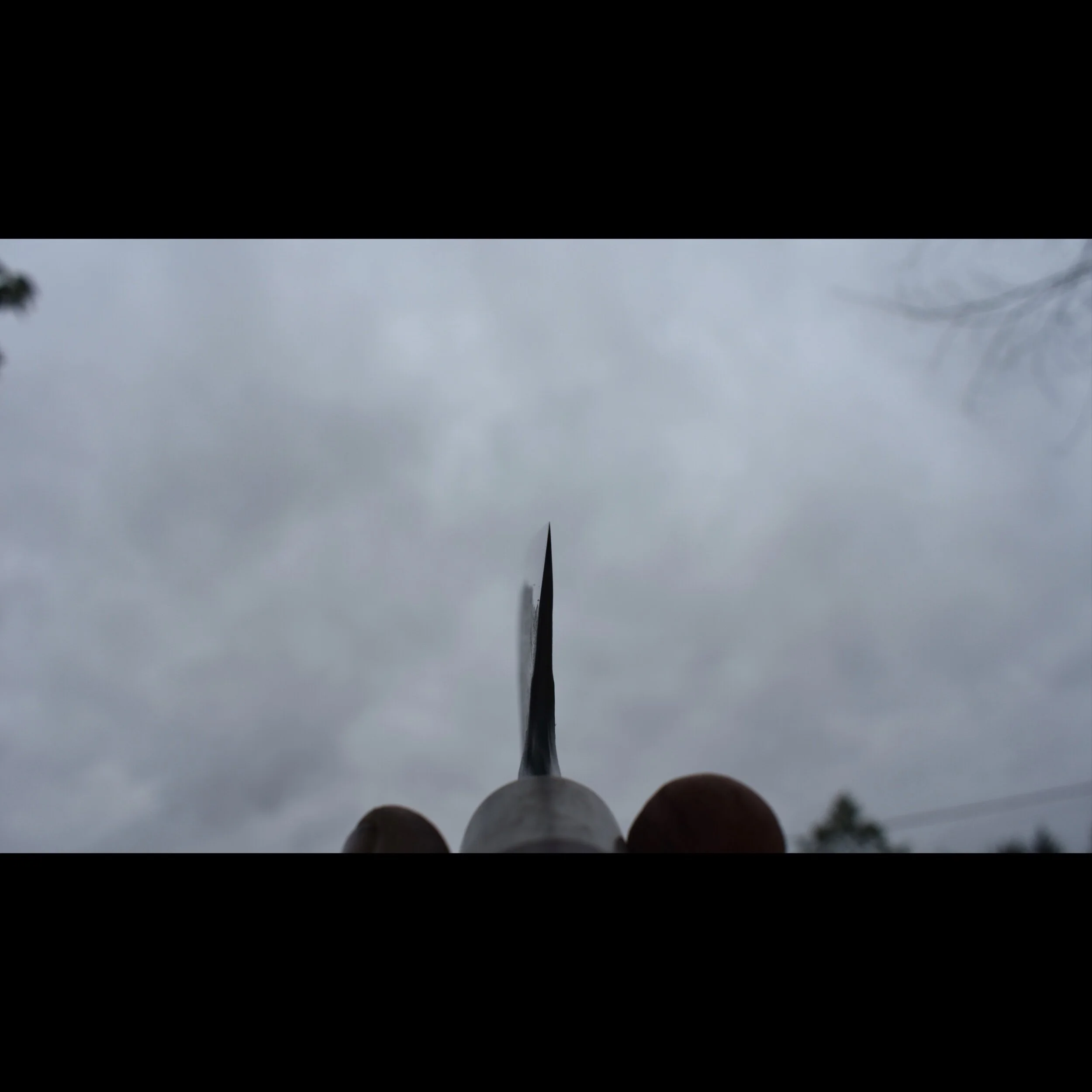 01FF4761-9B3E-4458-A23E-6826EC6C81CB