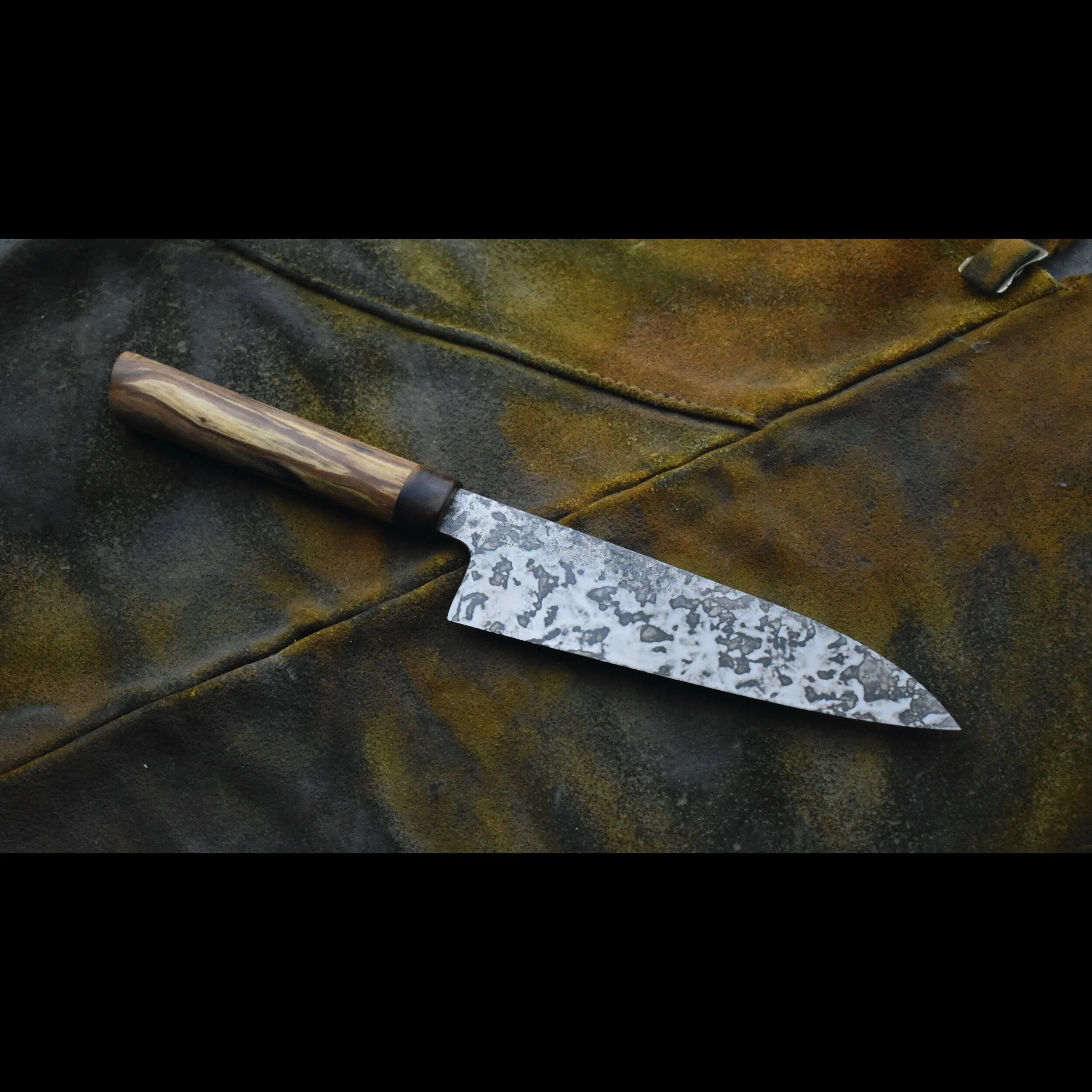 1B91FA4B-2024-47C7-940C-2C292B3EF2C6