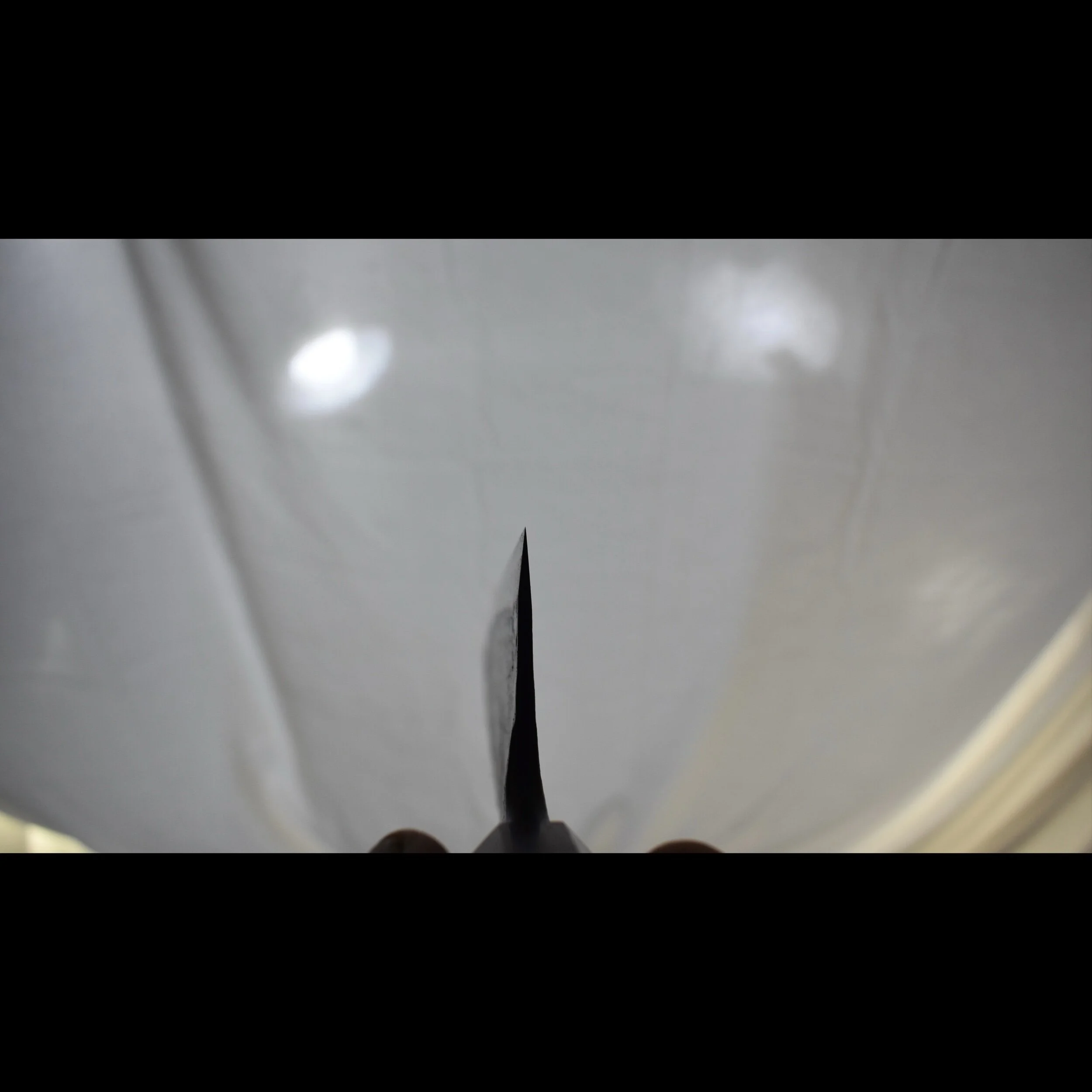 7363EBDE-8F86-466C-9F23-4DA6DC5F0203