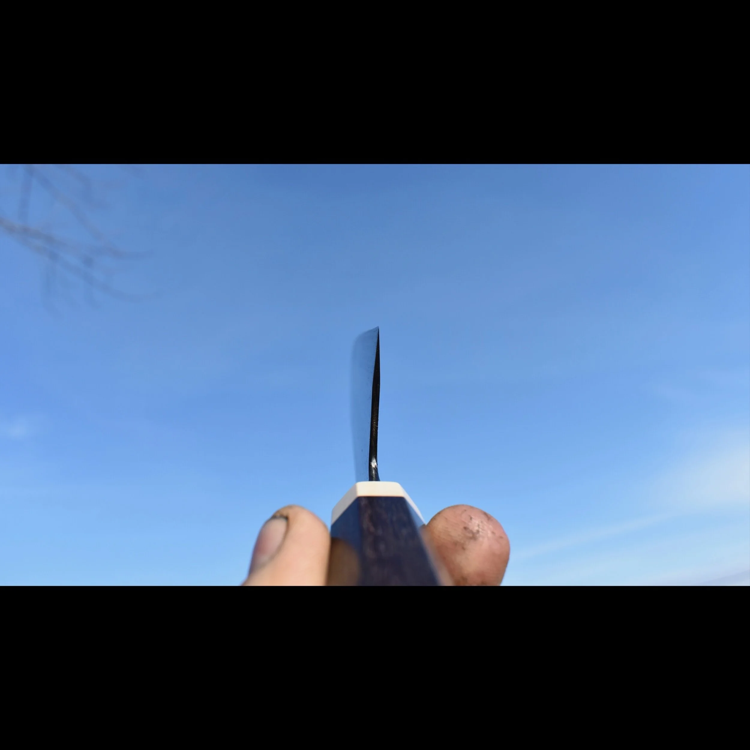 D805E09A-62B2-4247-85B5-0EE079D170E3