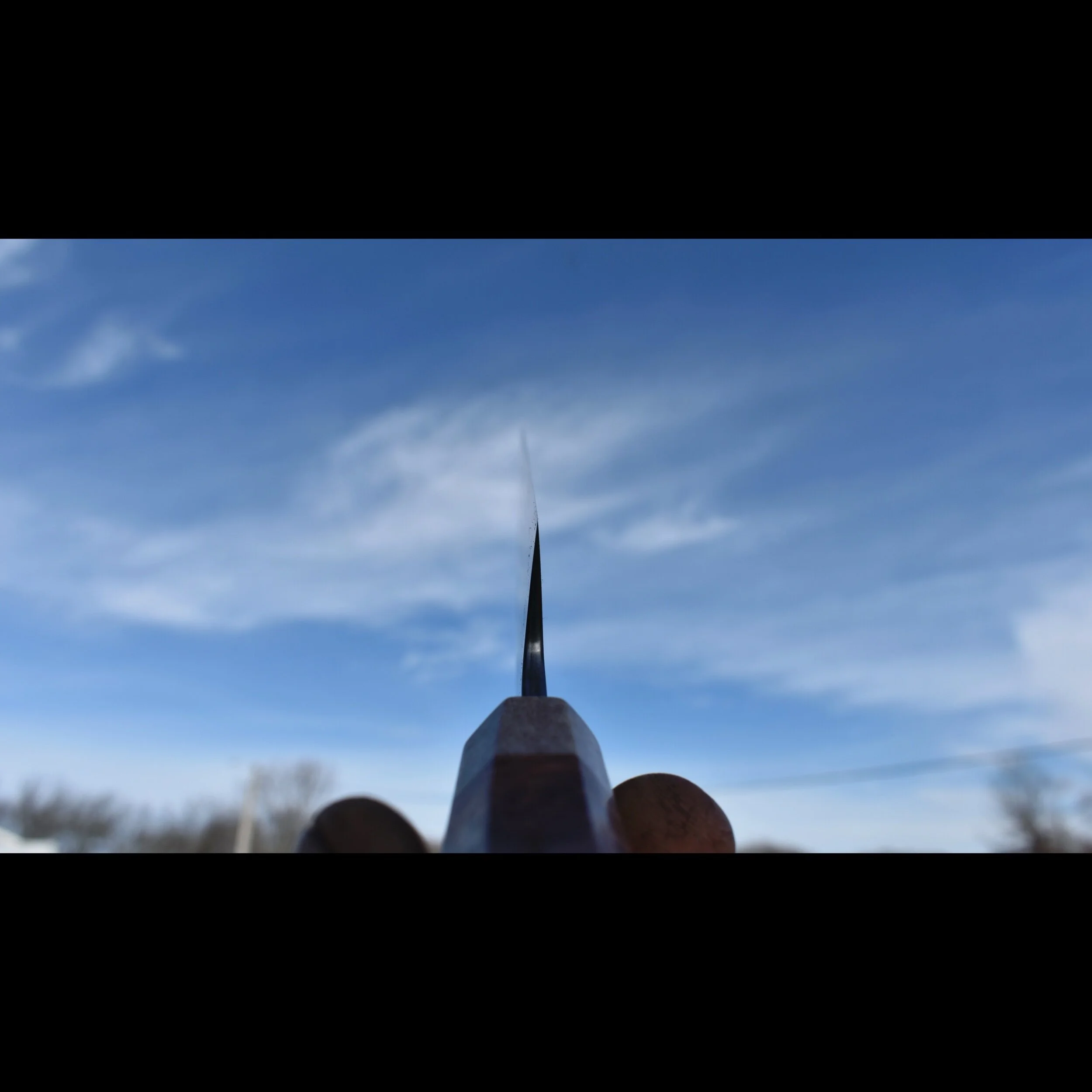 3C5AB1EE-BDE4-4D40-8E8B-1314F6CA388B