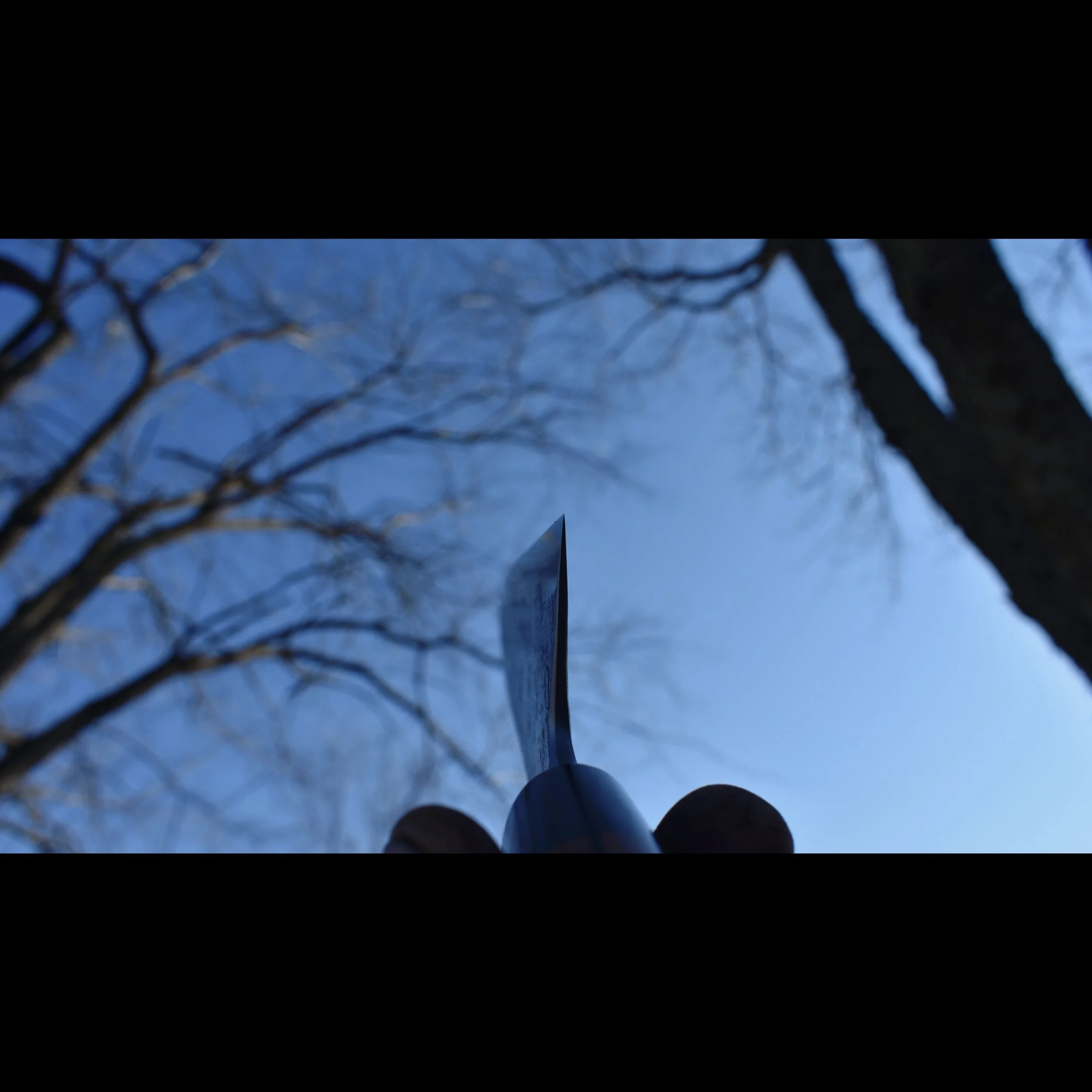 713B81DA-1683-4395-81D2-D1402FAA2AB1